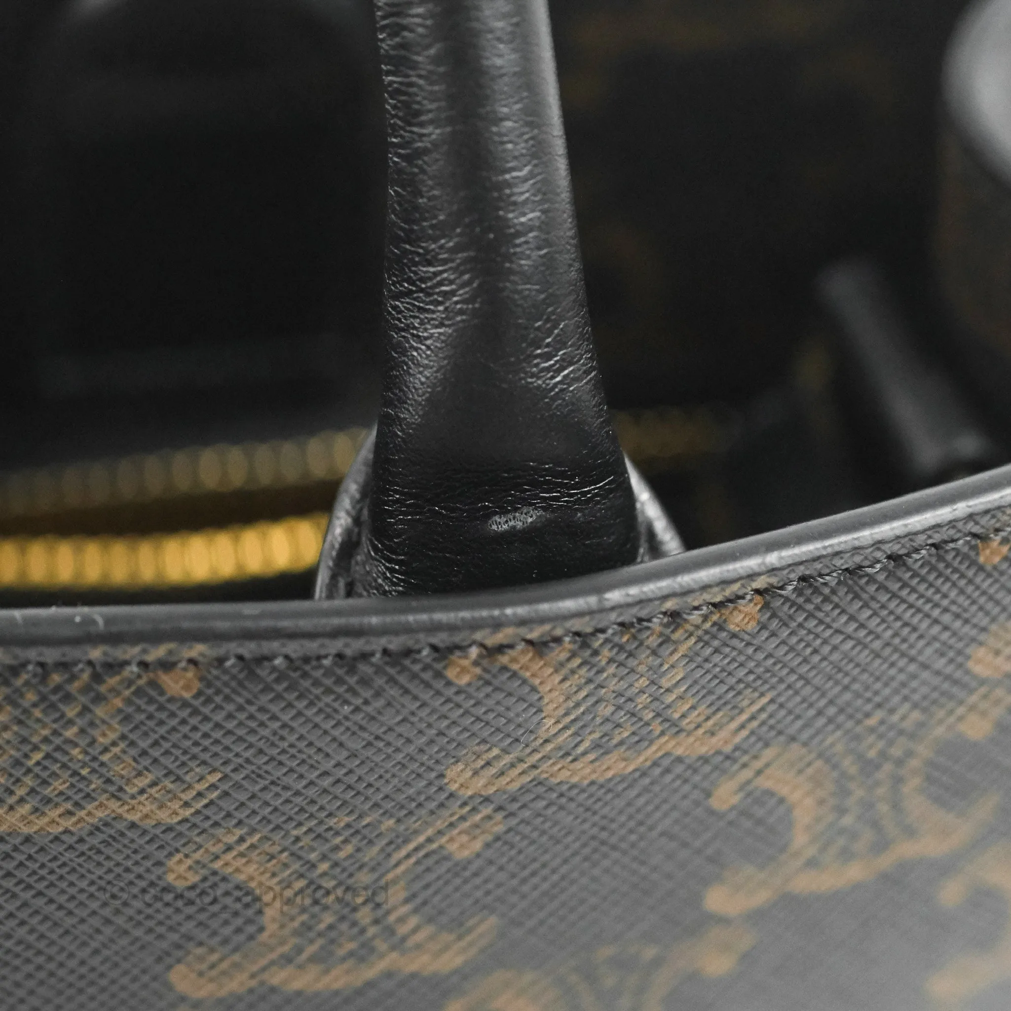Celine Medium Cabas Vertical Tote Triomphe