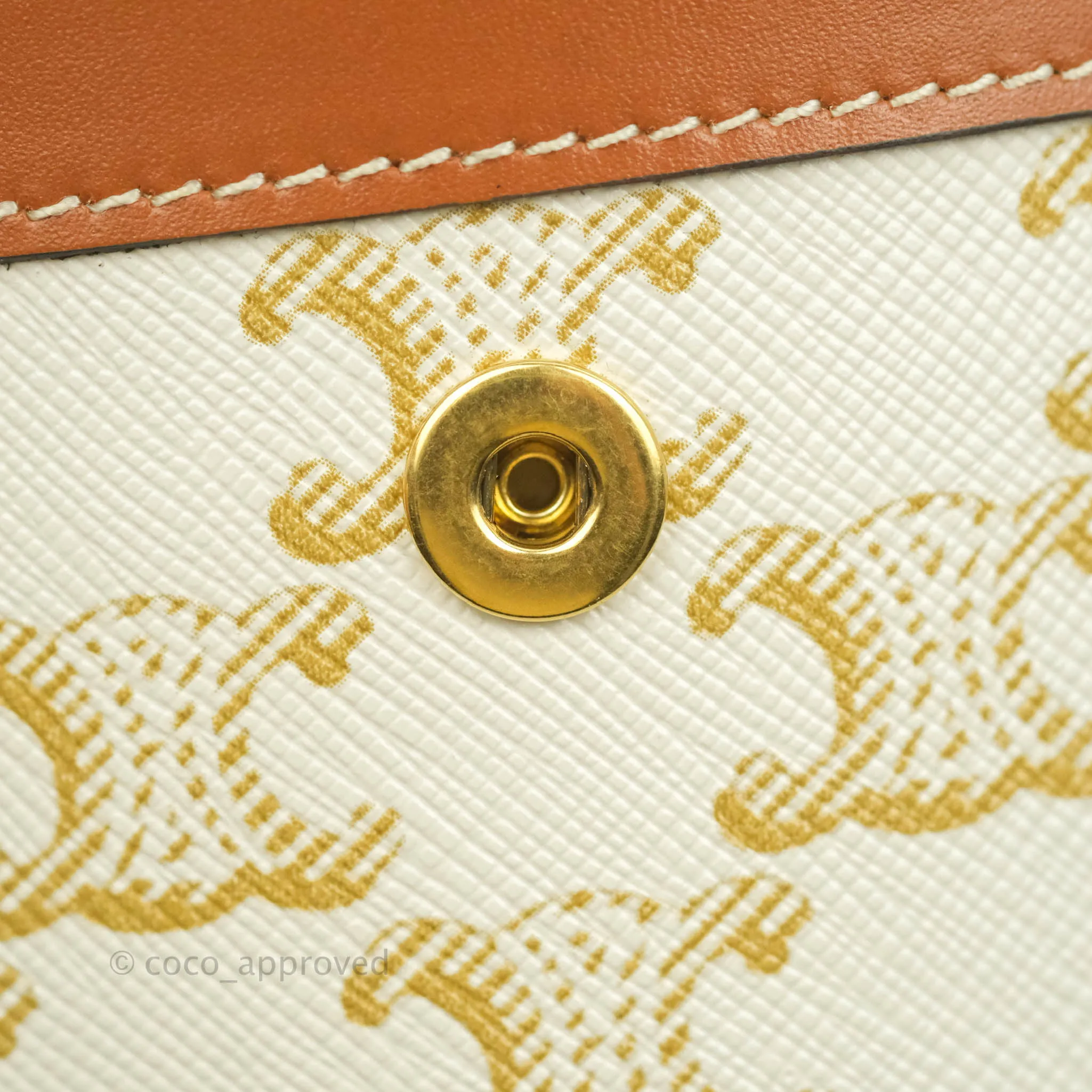 Celine Medium Tambour Bag White Triomphe Canvas