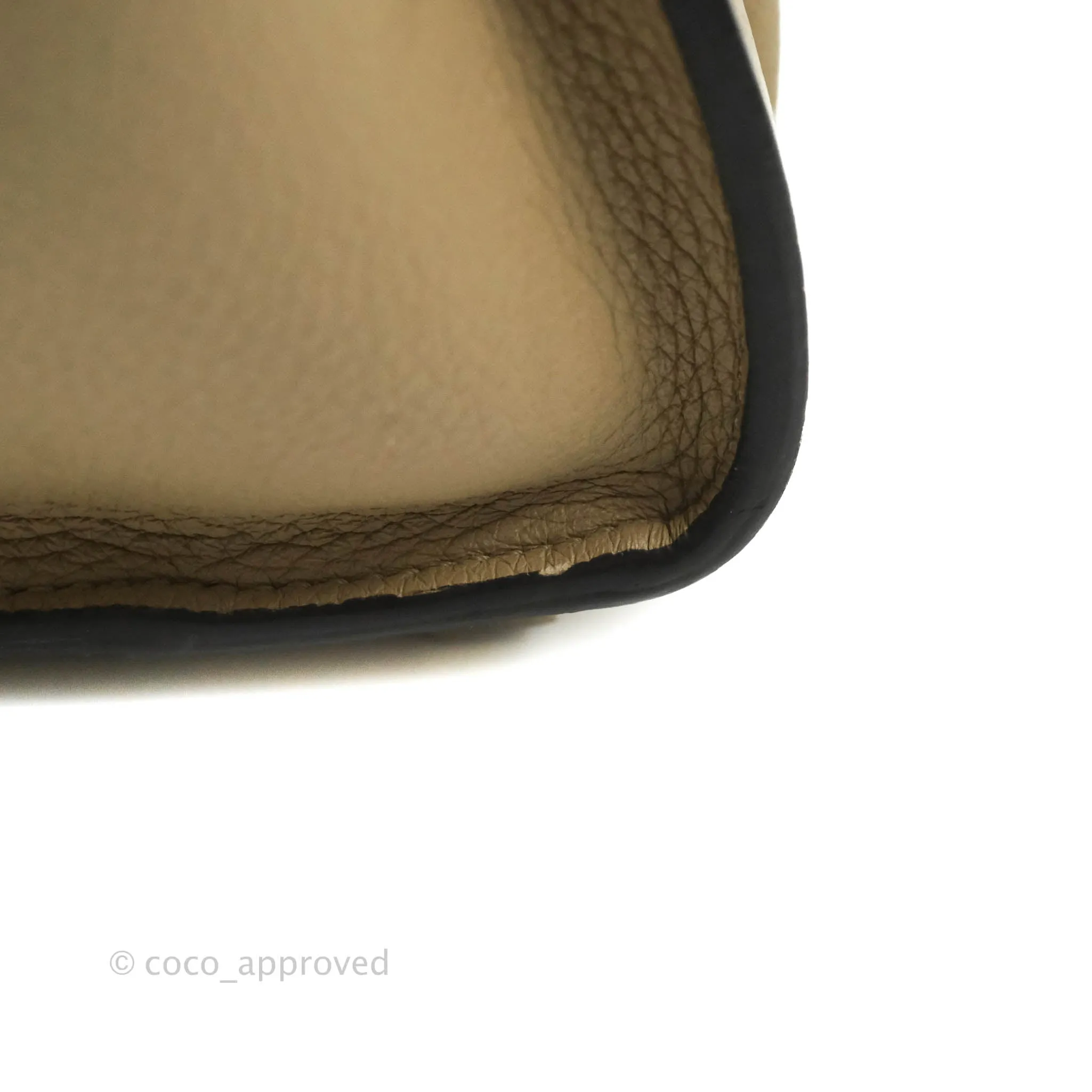 Celine Micro Luggage Handbag Dune Grained Calfskin