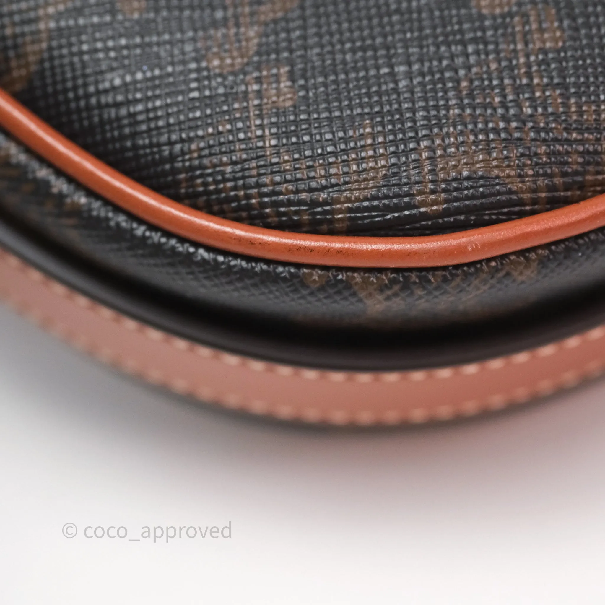 Celine Mini Ava Bag In Triomphe Canvas Calfskin Tan