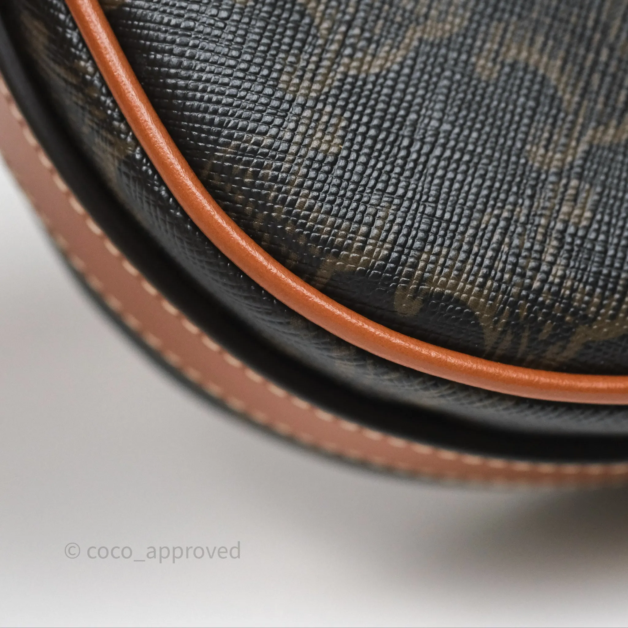 Celine Mini Ava Bag In Triomphe Canvas Calfskin Tan