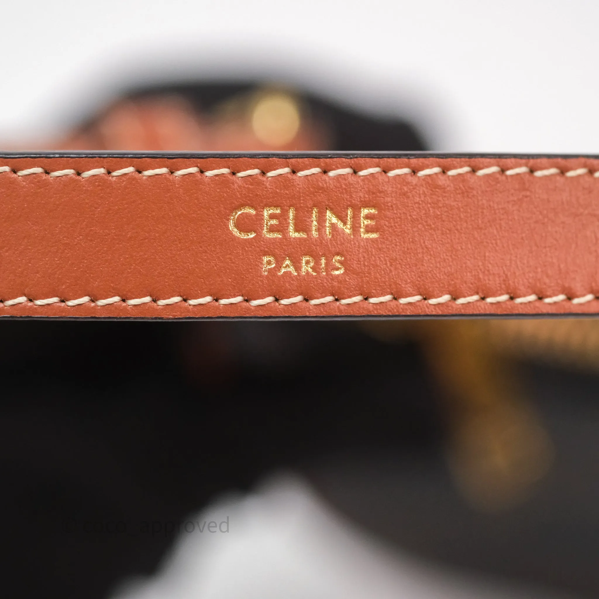 Celine Mini Ava Bag In Triomphe Canvas Calfskin Tan