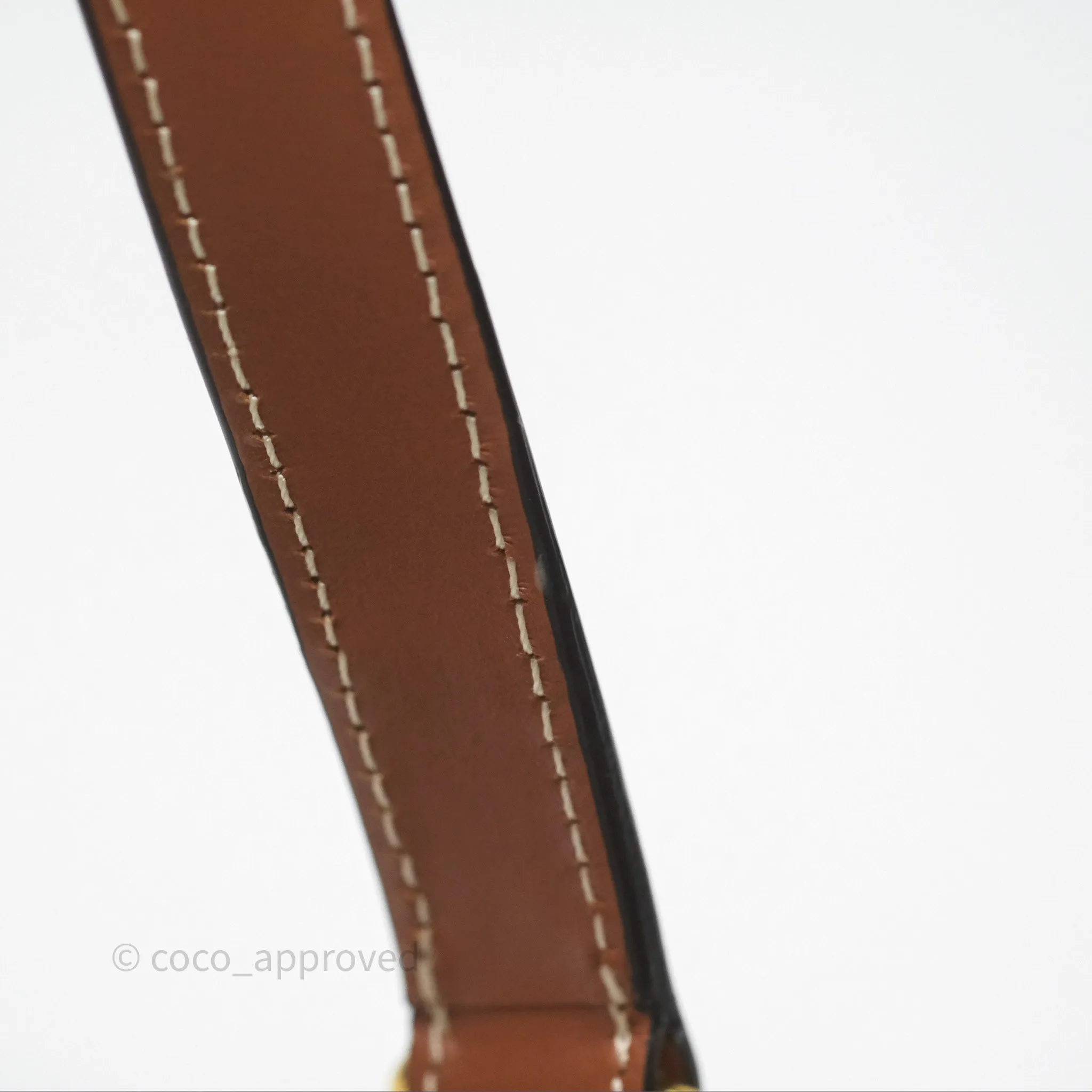 Celine Mini Ava Bag In Triomphe Canvas Calfskin Tan