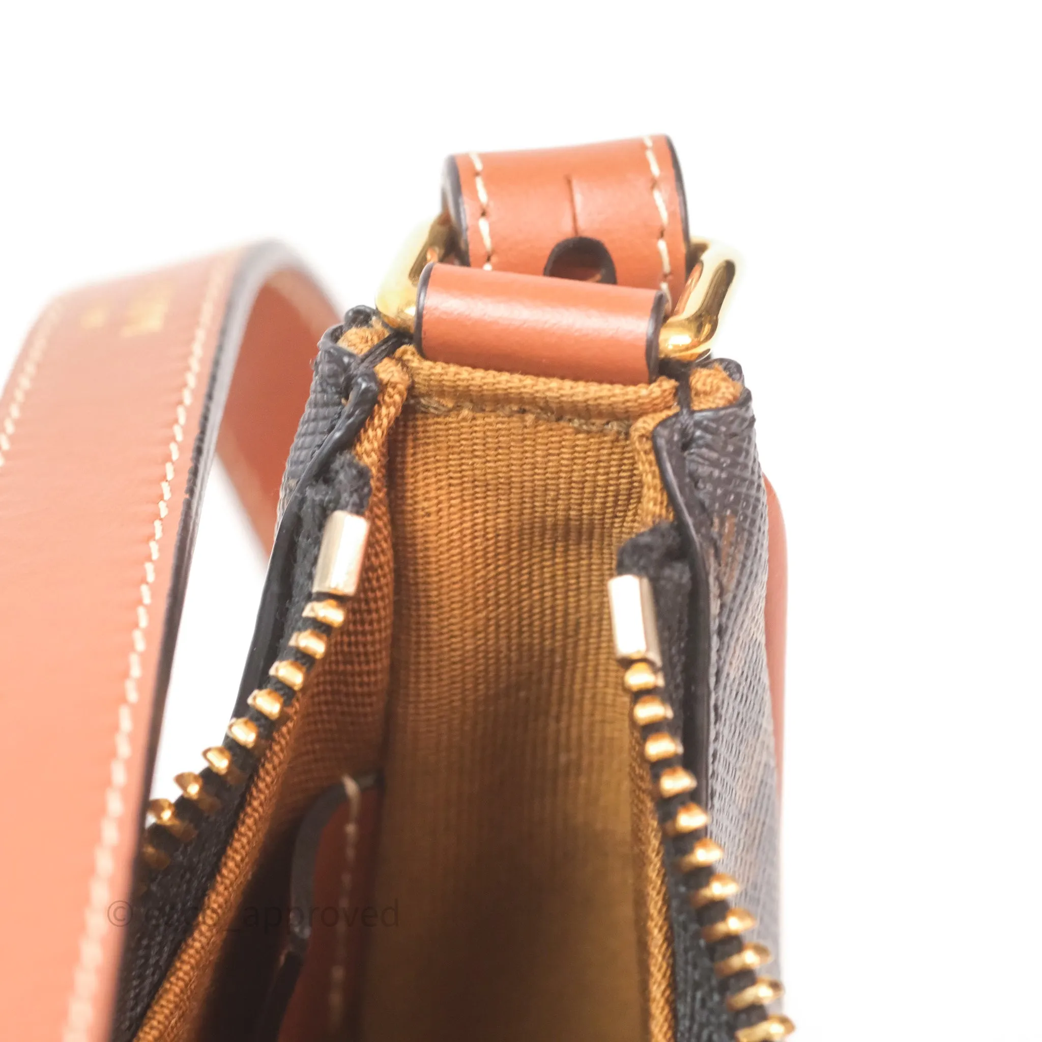 Celine Mini Ava Bag In Triomphe Canvas Calfskin Tan