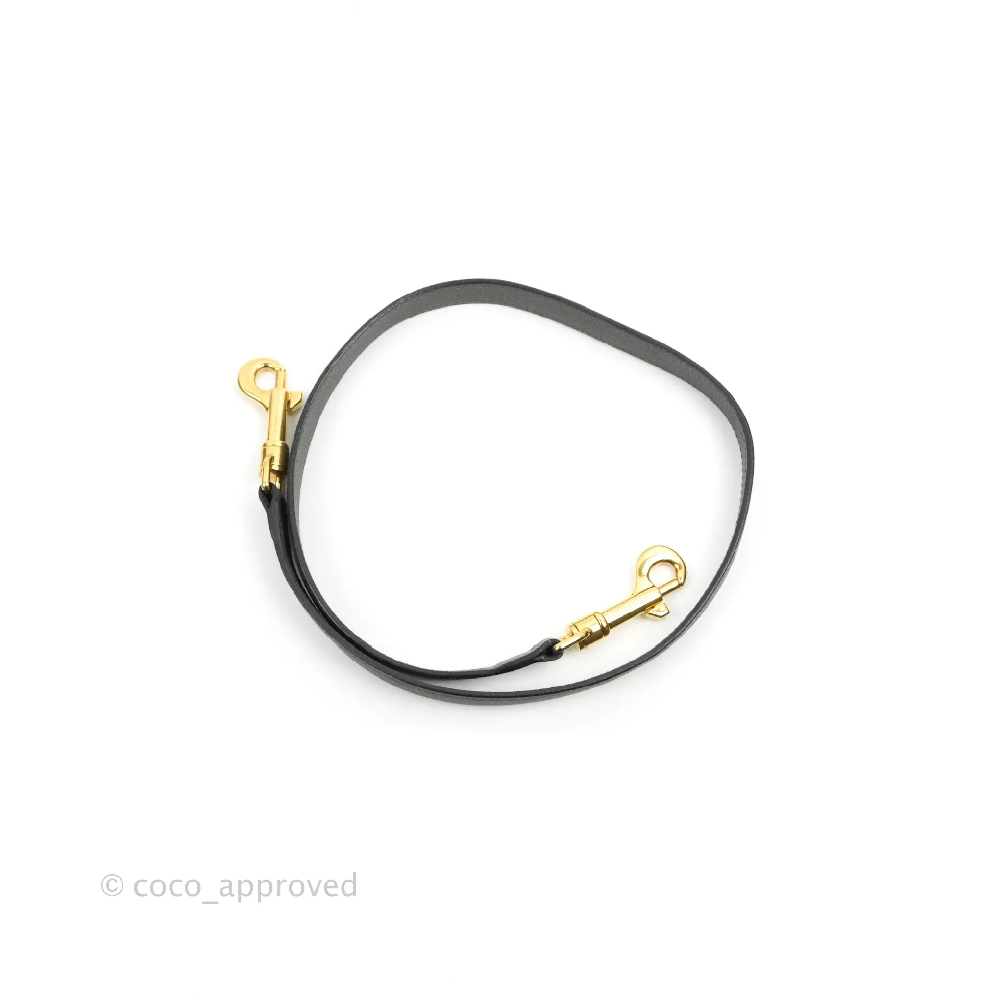 Celine Mini Belt Bag Grey Grained Calfskin Gold Hardware