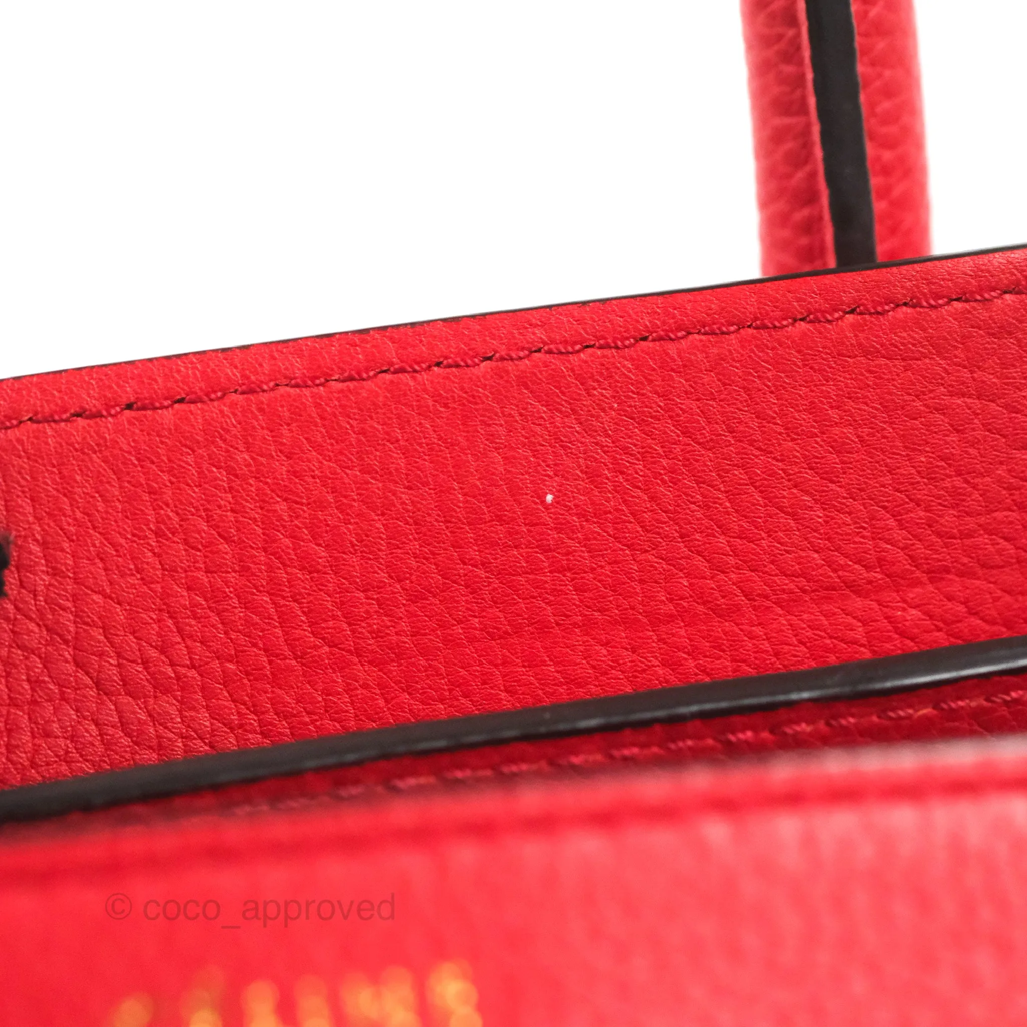 Celine Mini Luggage Bag Red Calfskin