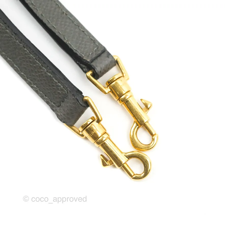 Celine Nano Belt Bag Grey Grained Calfskin Gold Hardware