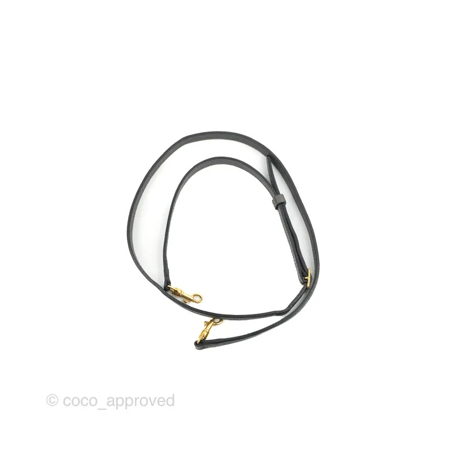 Celine Nano Belt Bag Grey Grained Calfskin Gold Hardware