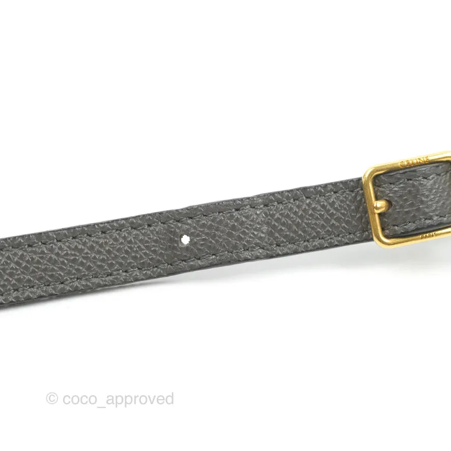 Celine Nano Belt Bag Grey Grained Calfskin Gold Hardware