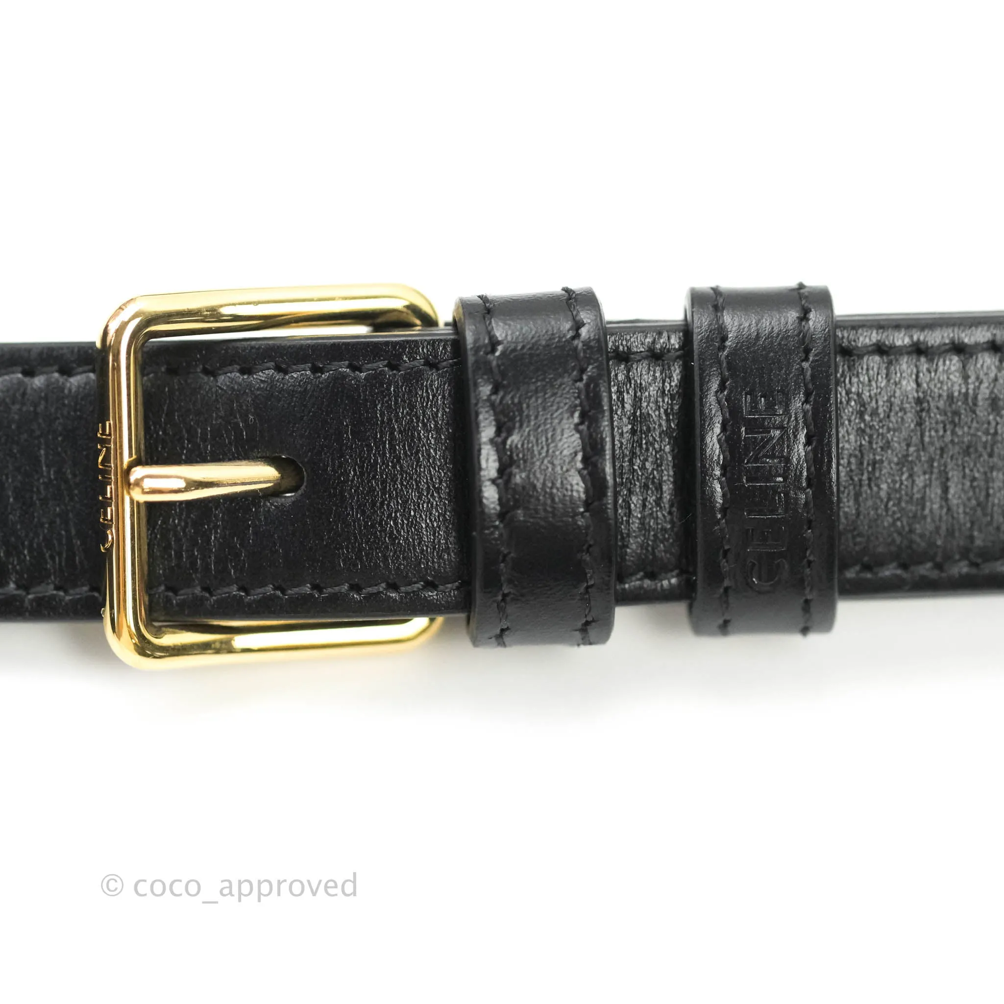 Celine Shiny Calfskin Medium Triomphe Black