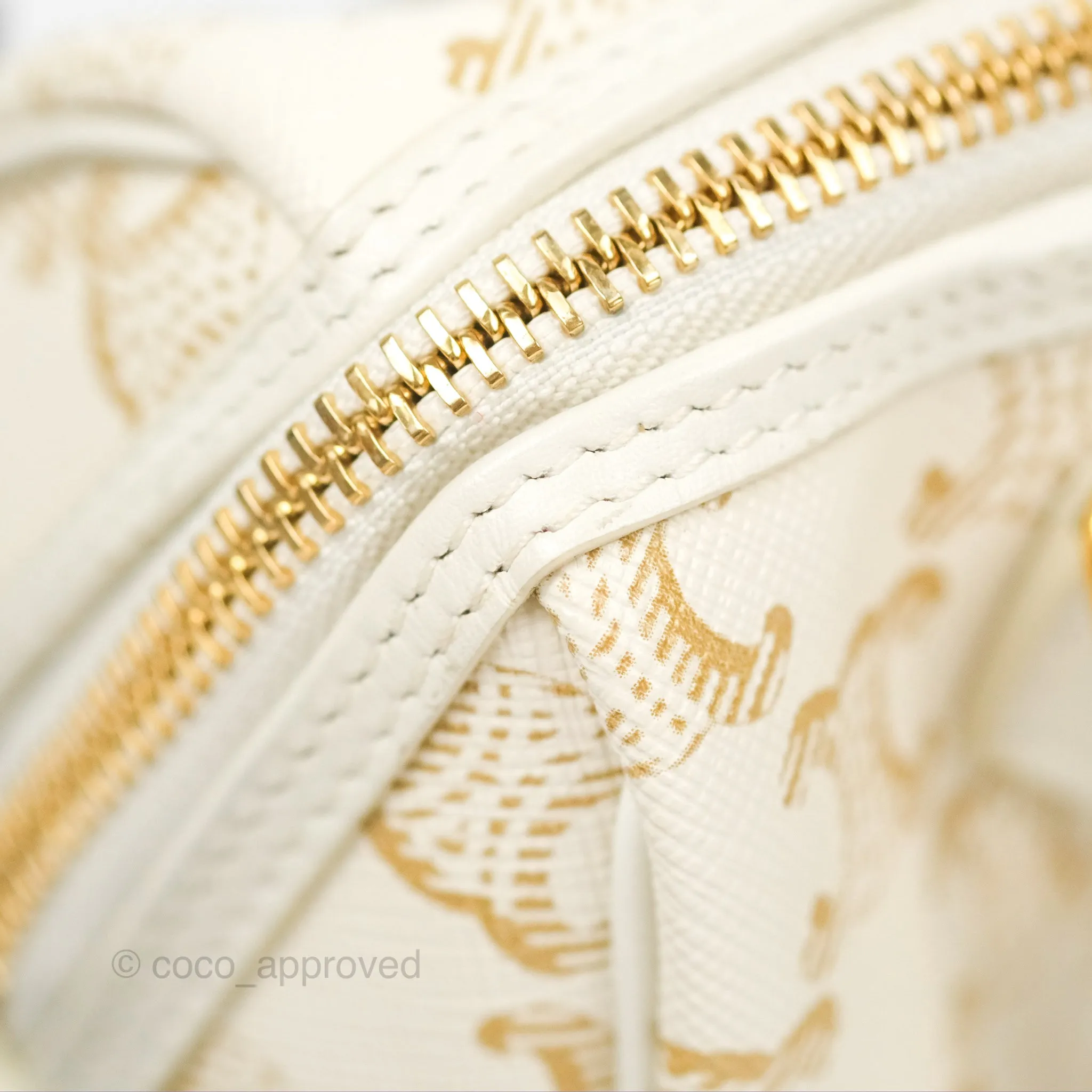 Celine Small Boston Bag White Triomphe Canvas Calfskin