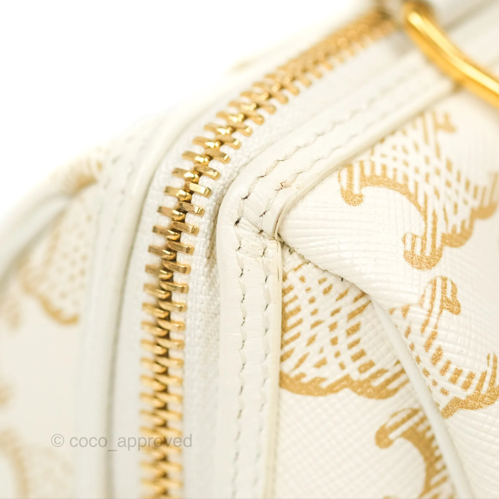 Celine Small Boston Bag White Triomphe Canvas Calfskin