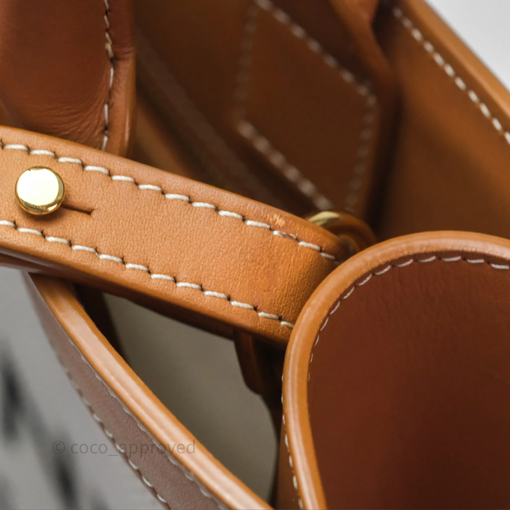 Celine Small Vertical Cabas Tote With Celine Print Natural/ Tan
