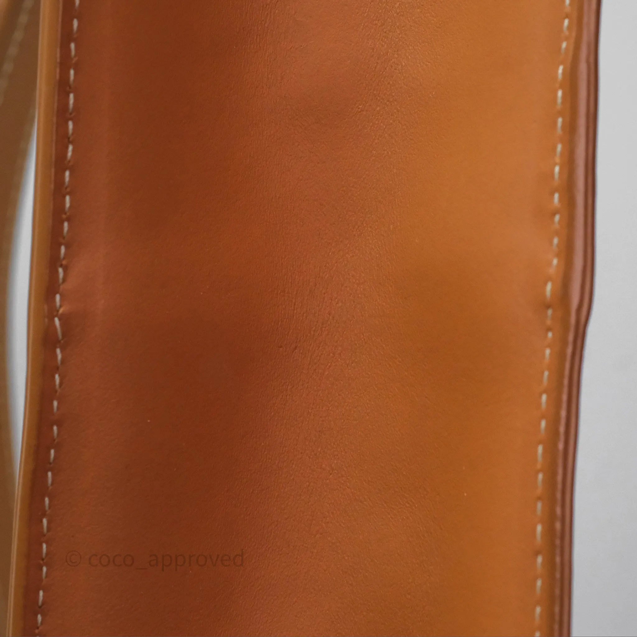 Celine Small Vertical Cabas Tote With Celine Print Natural/ Tan