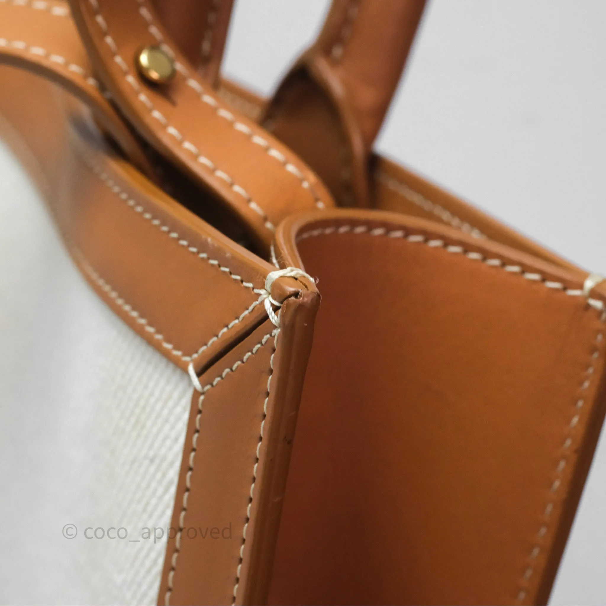 Celine Small Vertical Cabas Tote With Celine Print Natural/ Tan