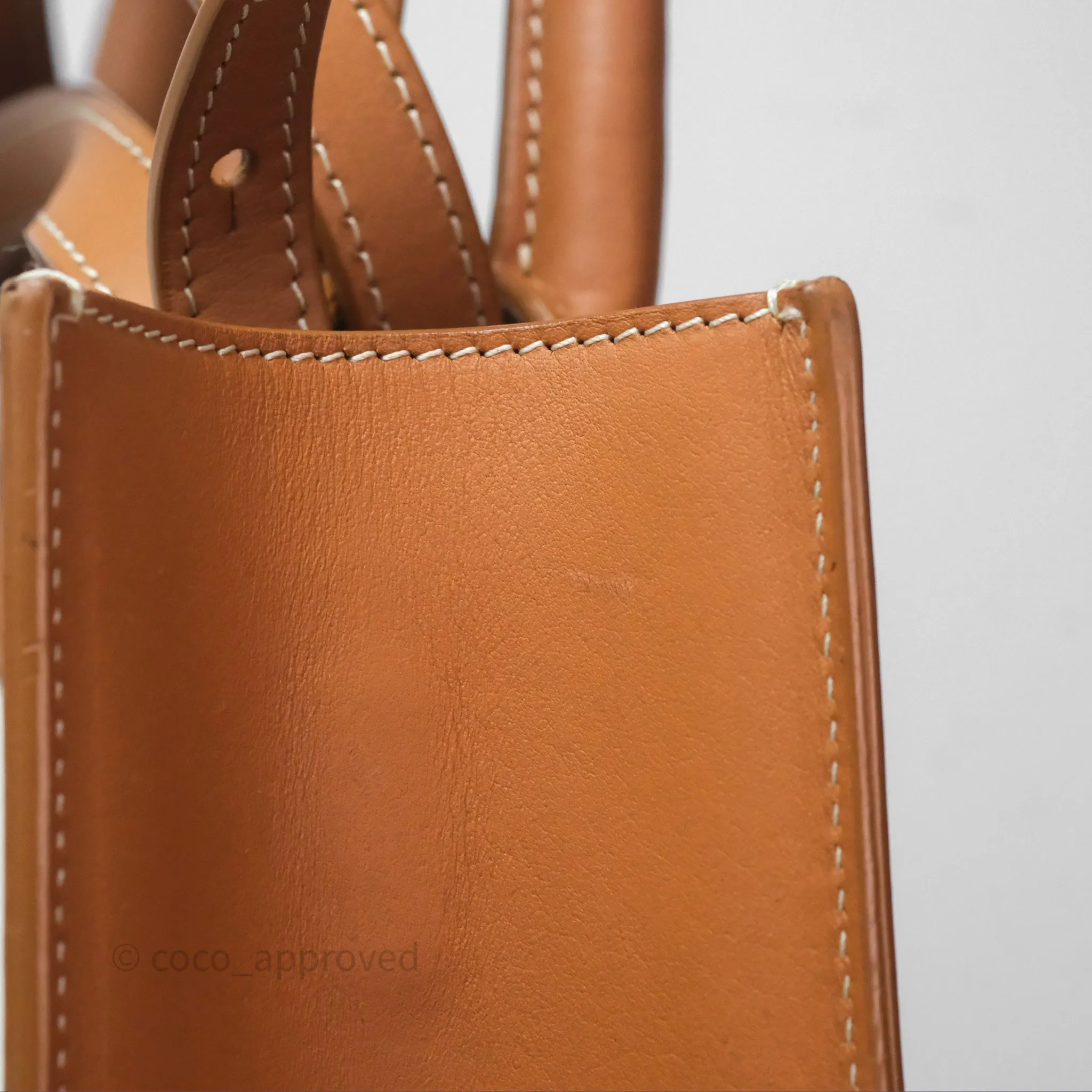 Celine Small Vertical Cabas Tote With Celine Print Natural/ Tan