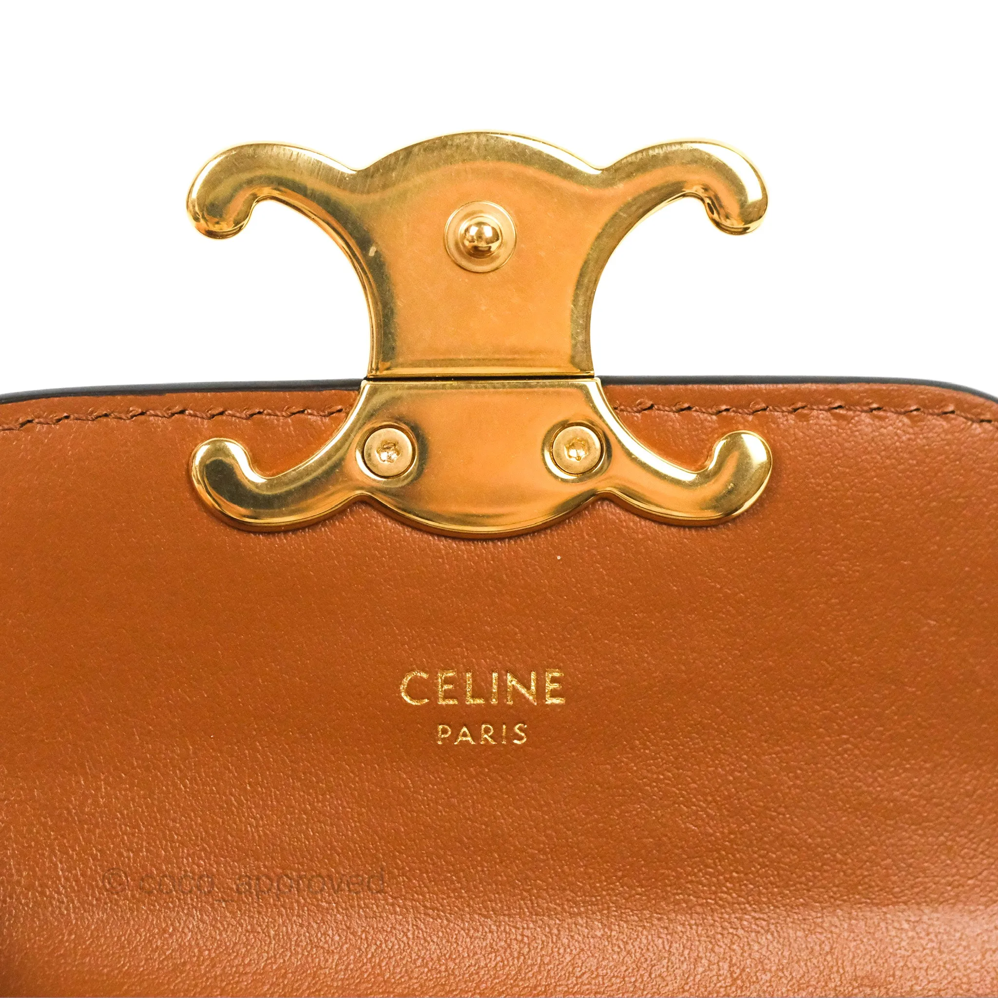 Celine Tan Canvas Calfskin Mini Triomphe