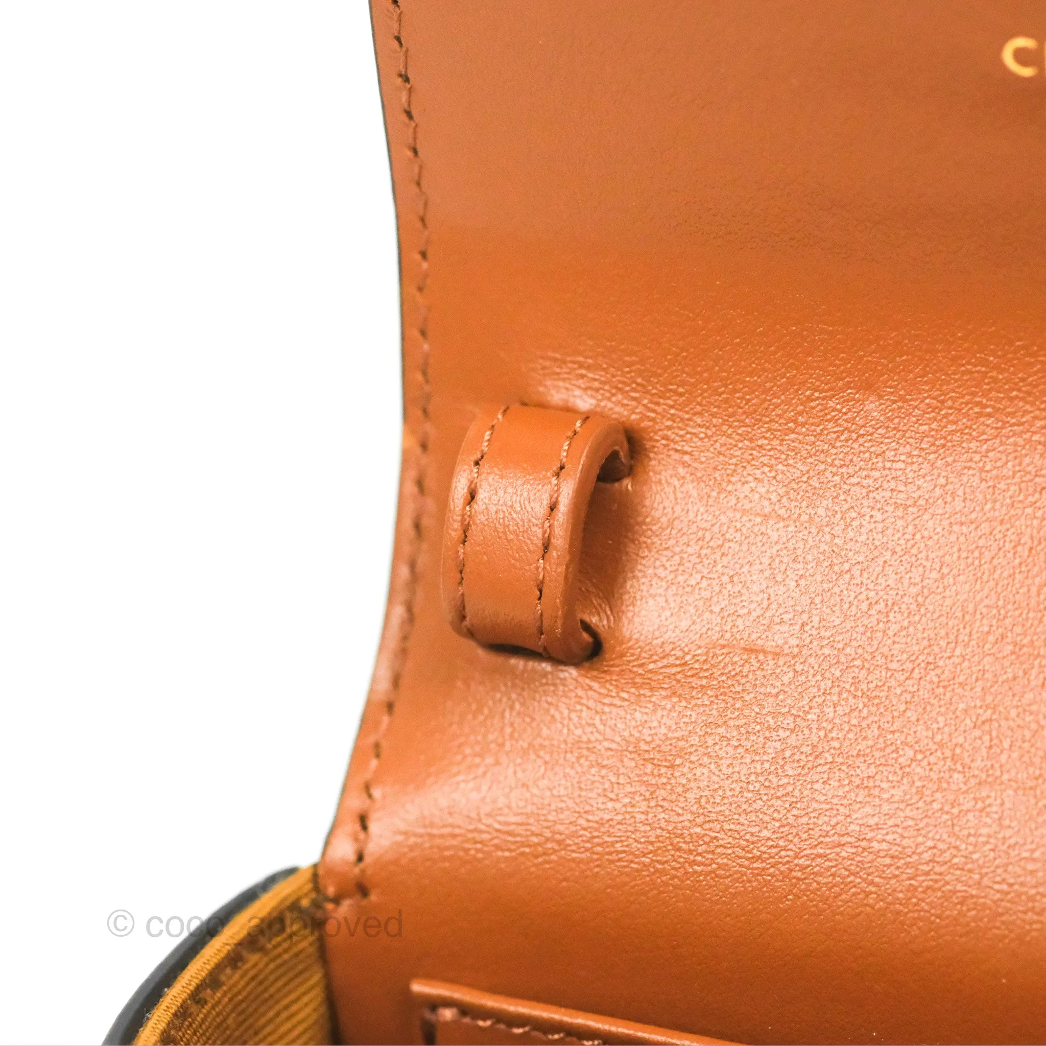 Celine Tan Canvas Calfskin Mini Triomphe