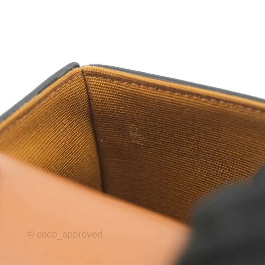 Celine Tan Canvas Calfskin Mini Triomphe