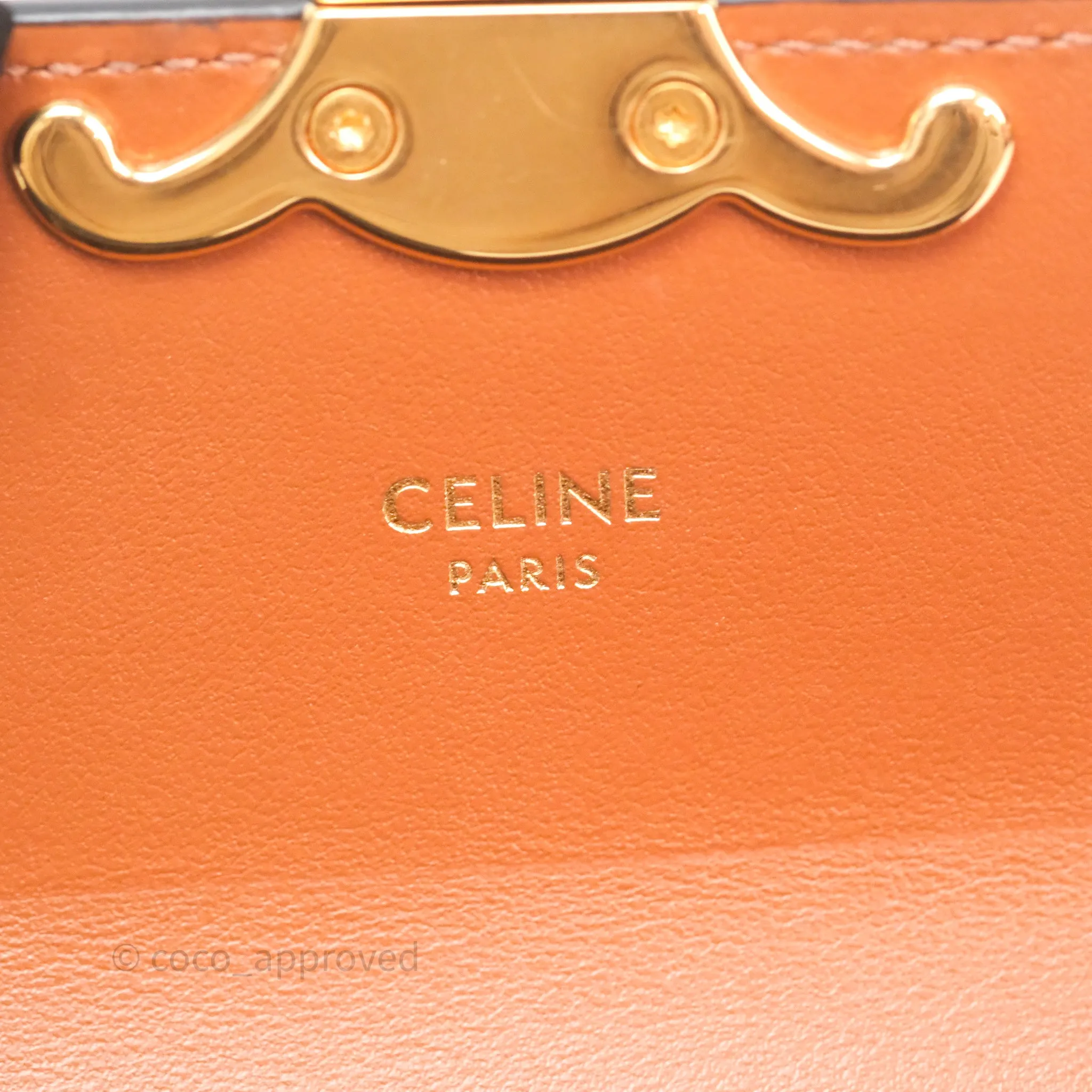 Celine Tan Canvas Calfskin Mini Triomphe