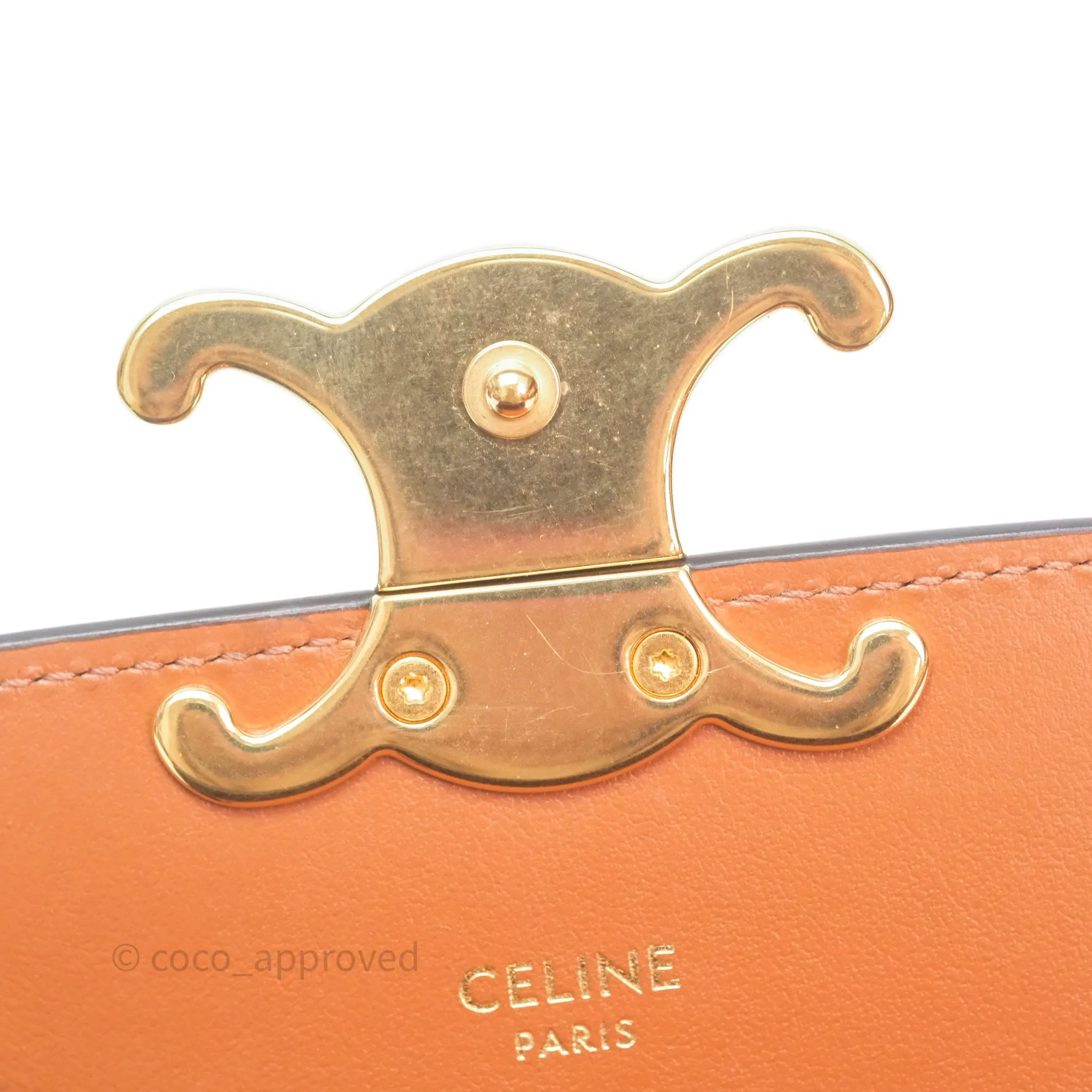 Celine Tan Canvas Calfskin Mini Triomphe