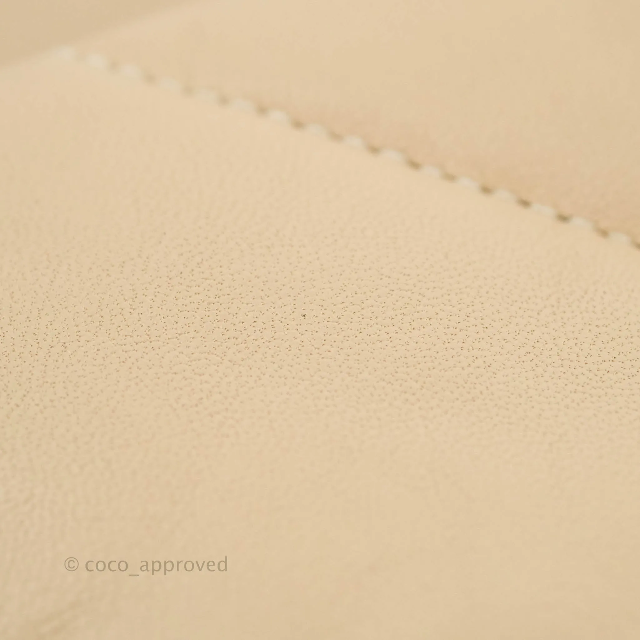 Chanel 19 Small Light Beige Mixed Hardware 20S