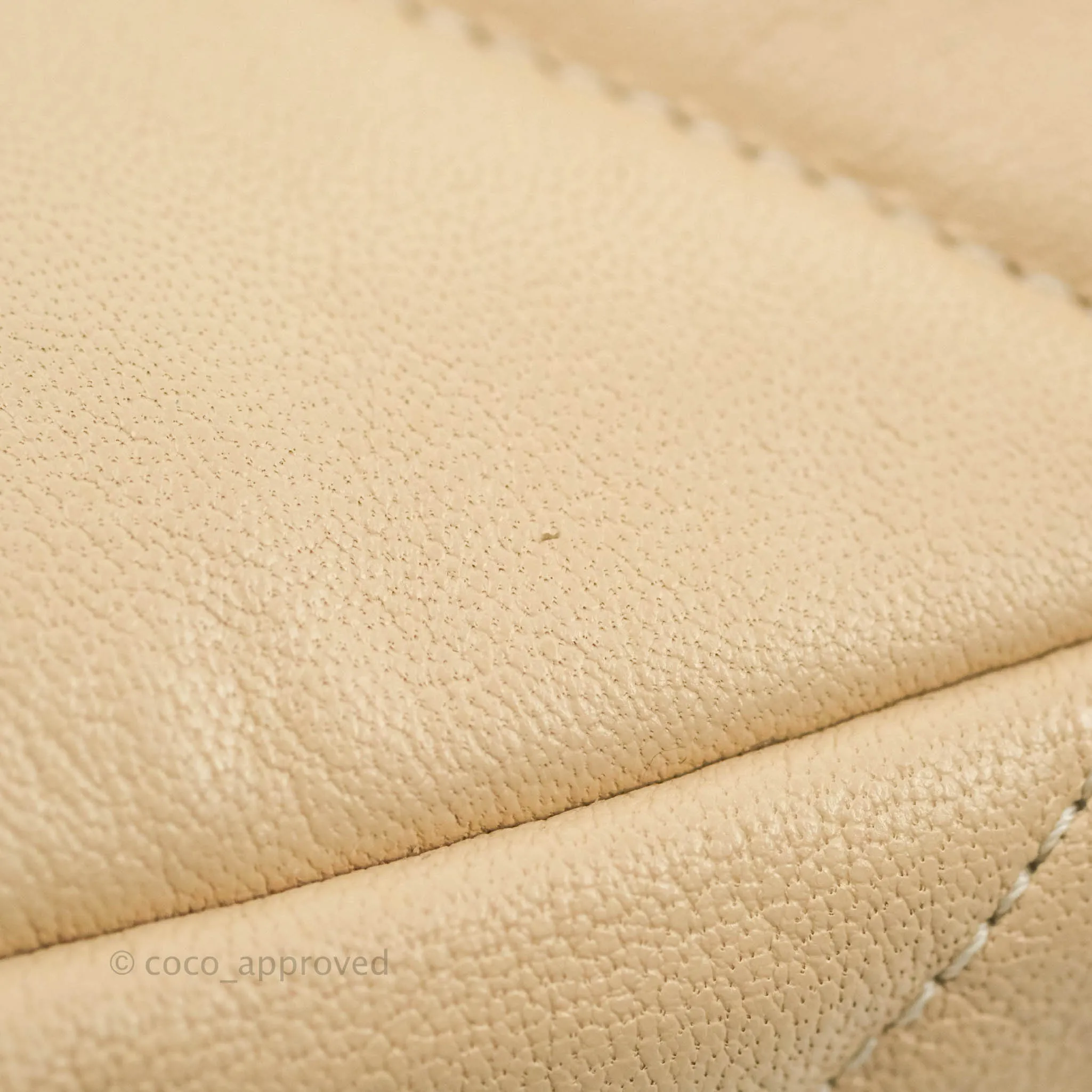 Chanel 19 Small Light Beige Mixed Hardware 20S
