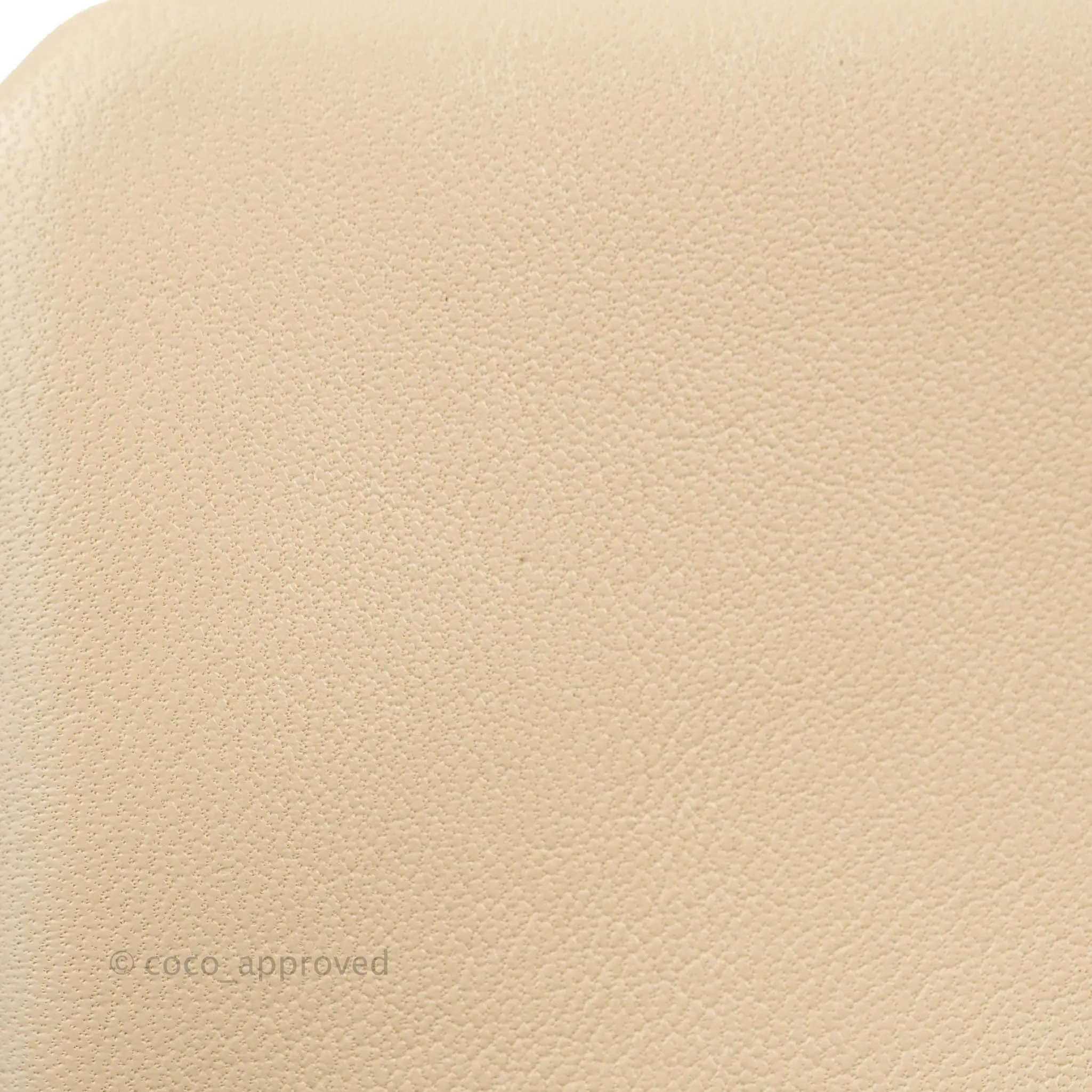 Chanel 19 Small Light Beige Mixed Hardware 20S