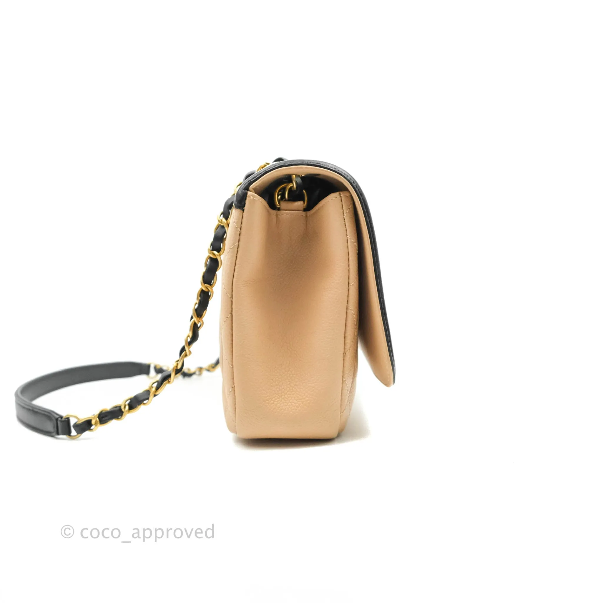 Chanel Quilted Medium CC Filigree Flap Beige Black Caviar