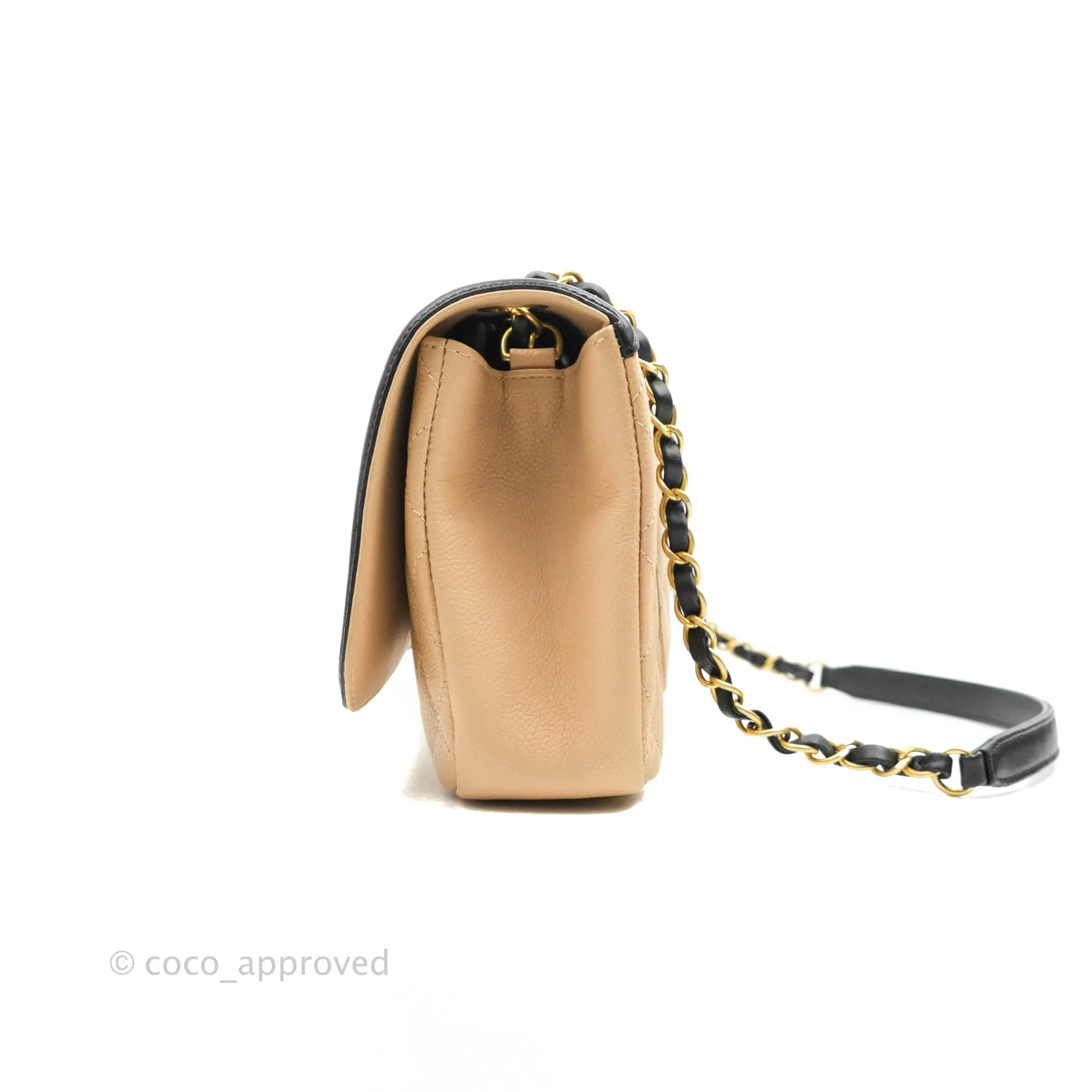 Chanel Quilted Medium CC Filigree Flap Beige Black Caviar