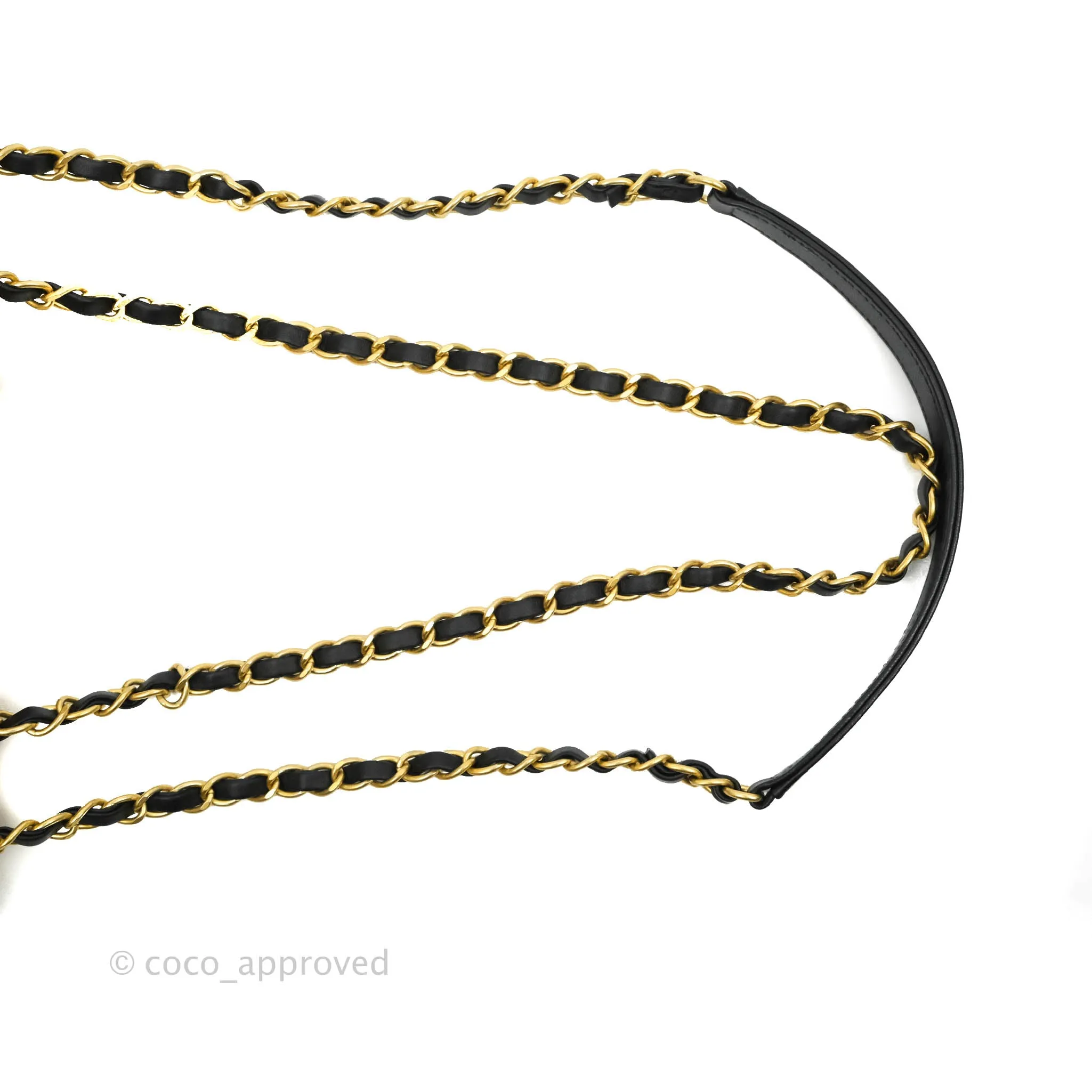 Chanel Quilted Medium CC Filigree Flap Beige Black Caviar