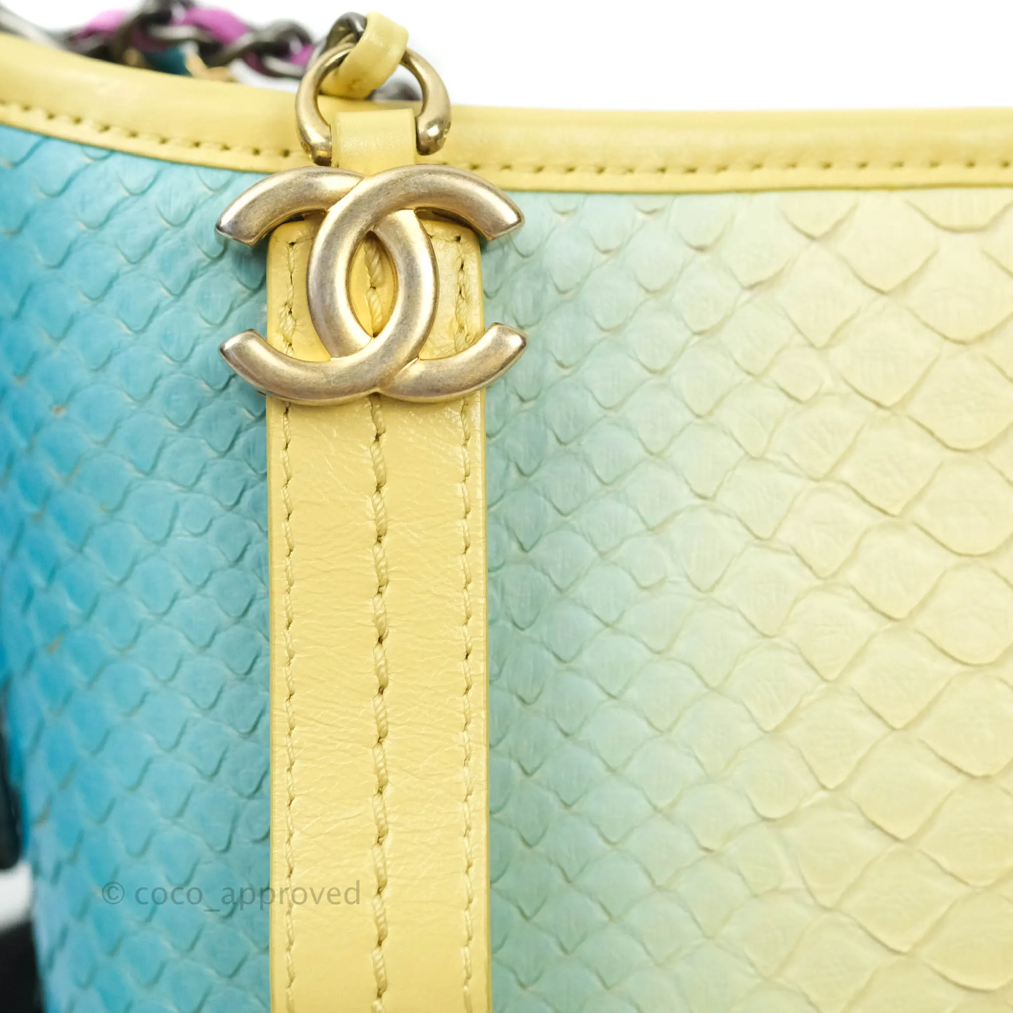 Chanel Small Gabrielle Hobo Yellow Python Mixed Hardware