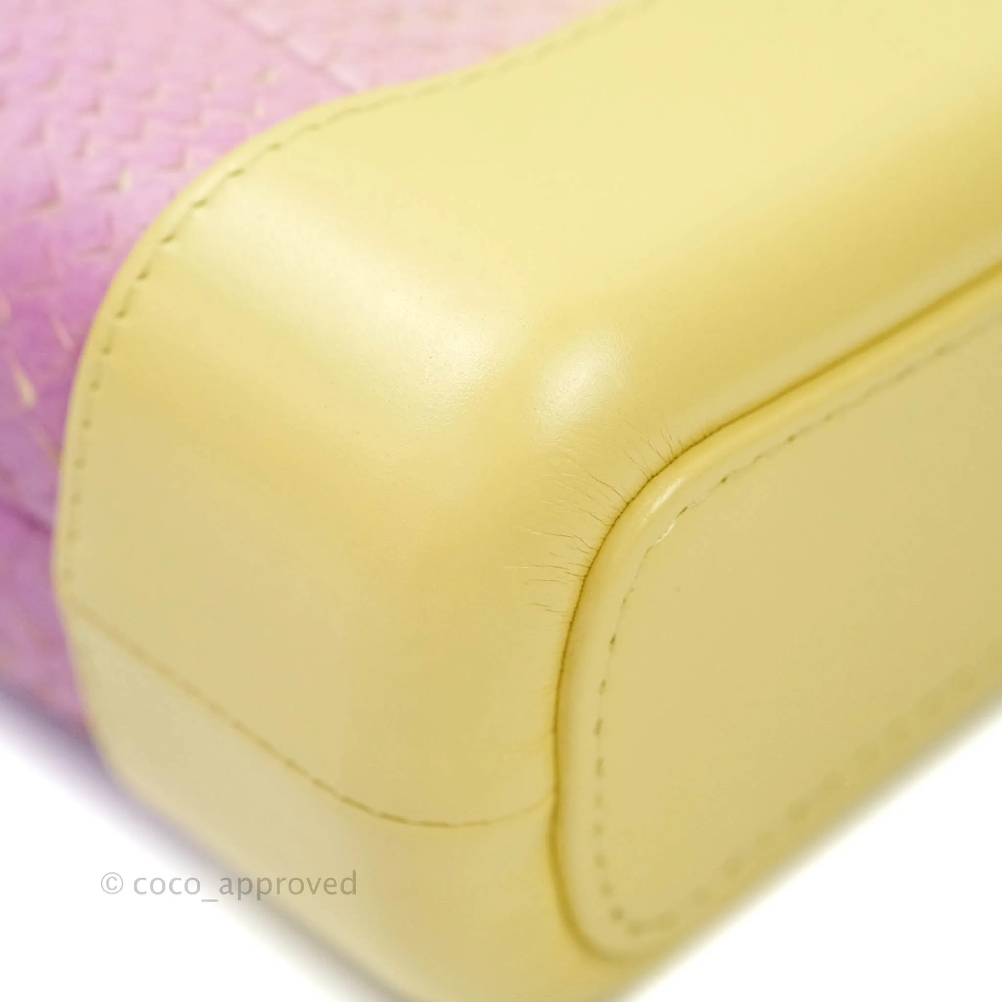 Chanel Small Gabrielle Hobo Yellow Python Mixed Hardware