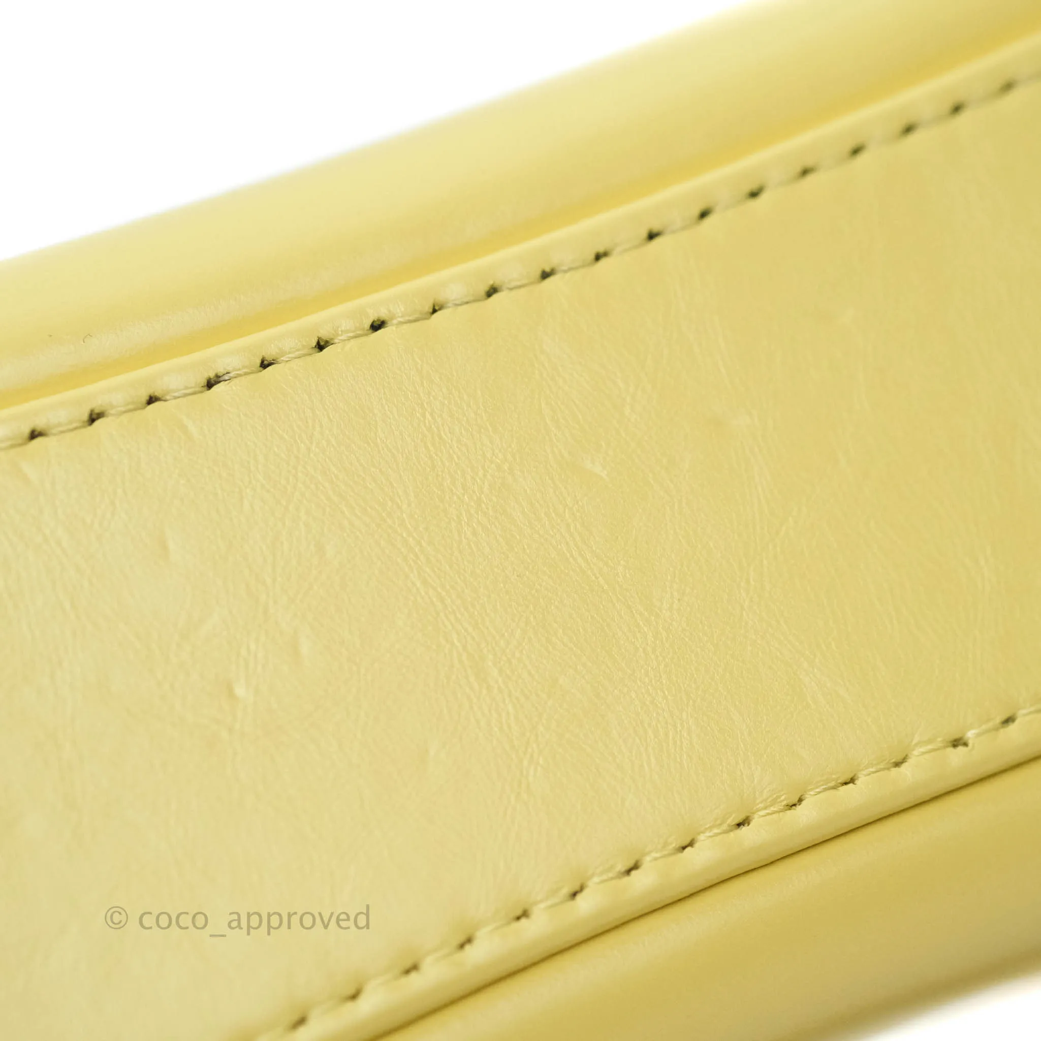 Chanel Small Gabrielle Hobo Yellow Python Mixed Hardware