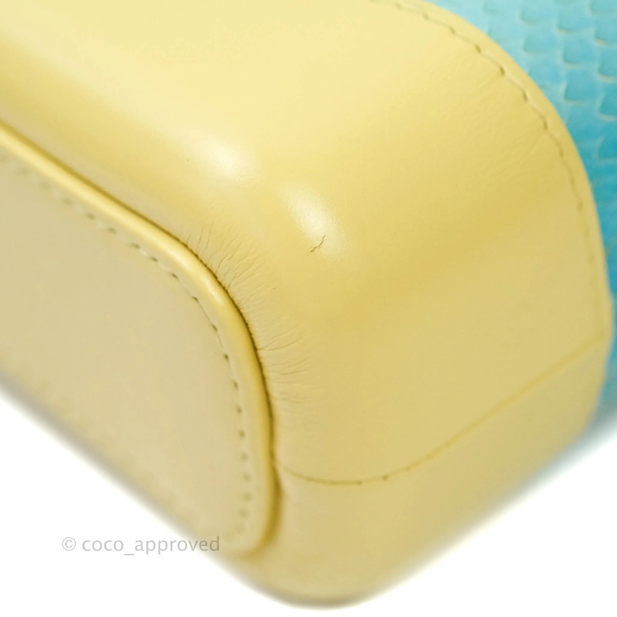 Chanel Small Gabrielle Hobo Yellow Python Mixed Hardware