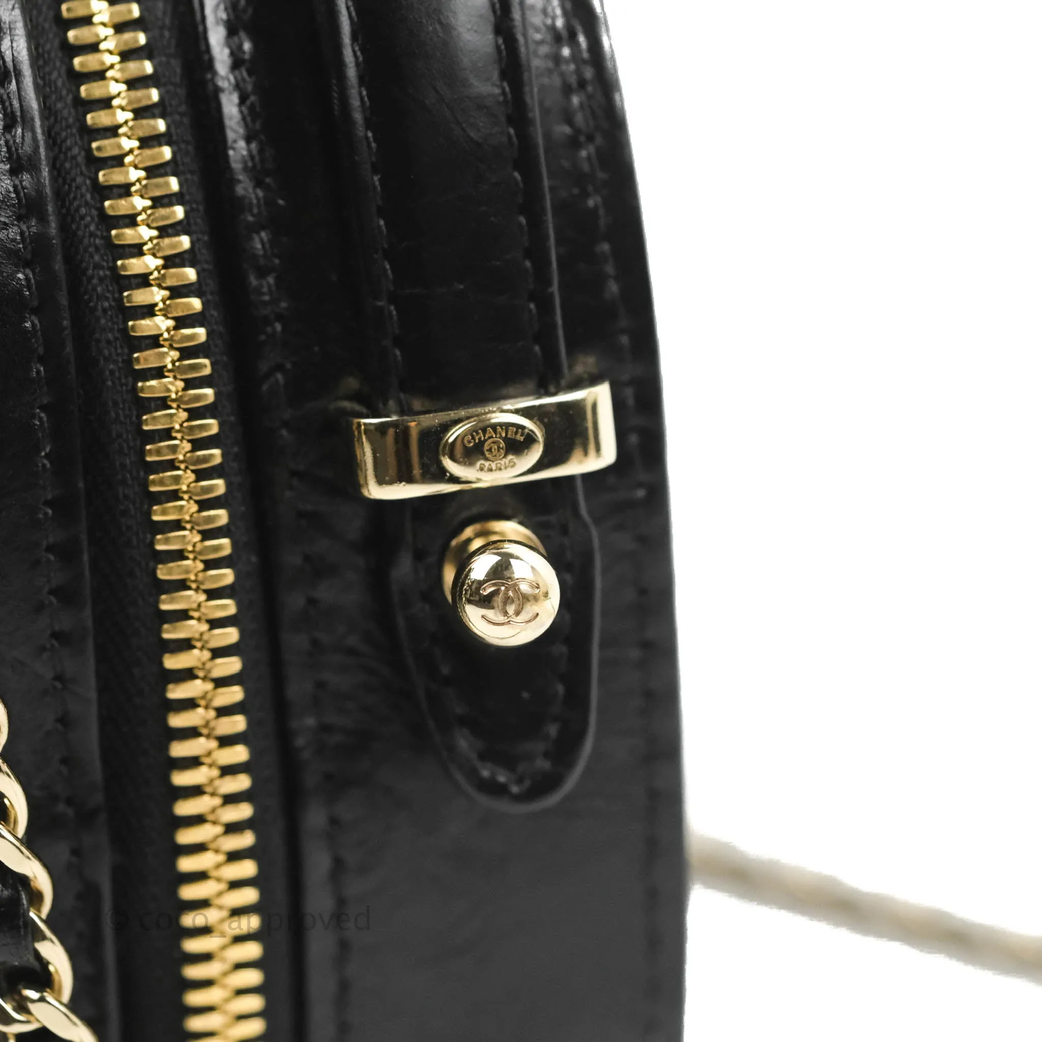 Chanel Small Round Vanity Case Bag Black Crumpled Calfskin 19C