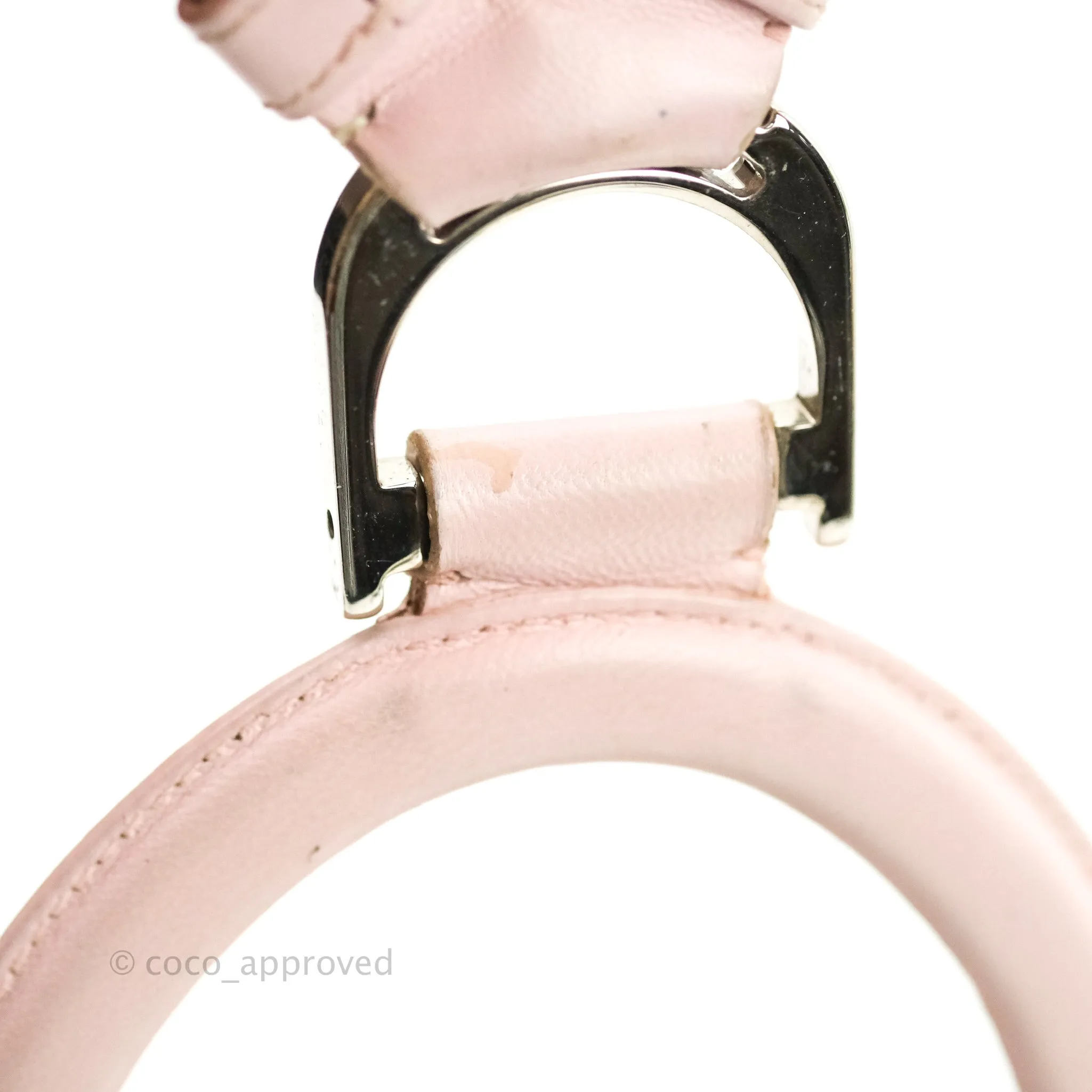 Christian Dior Lambskin Cannage Small Lucky Badge Stardust Backpack Soft Pink