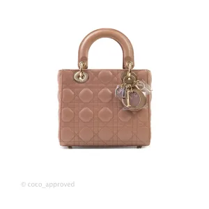 Christian Dior Lambskin My ABCDior Lady Dior Dark Beige Gold Hardware