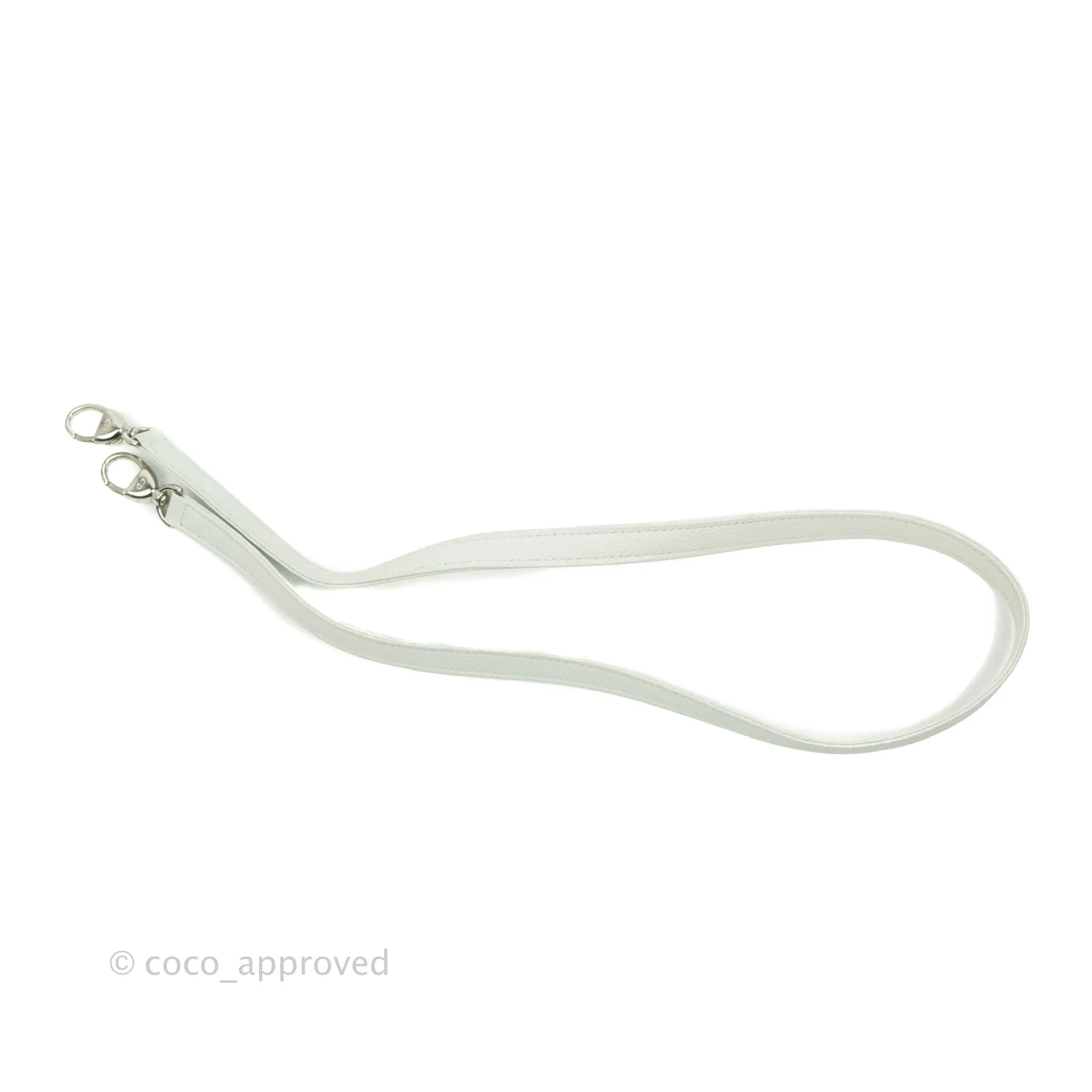 Christian Dior Medium Lady Dior Light Mint Grained Leather Silver Hardware