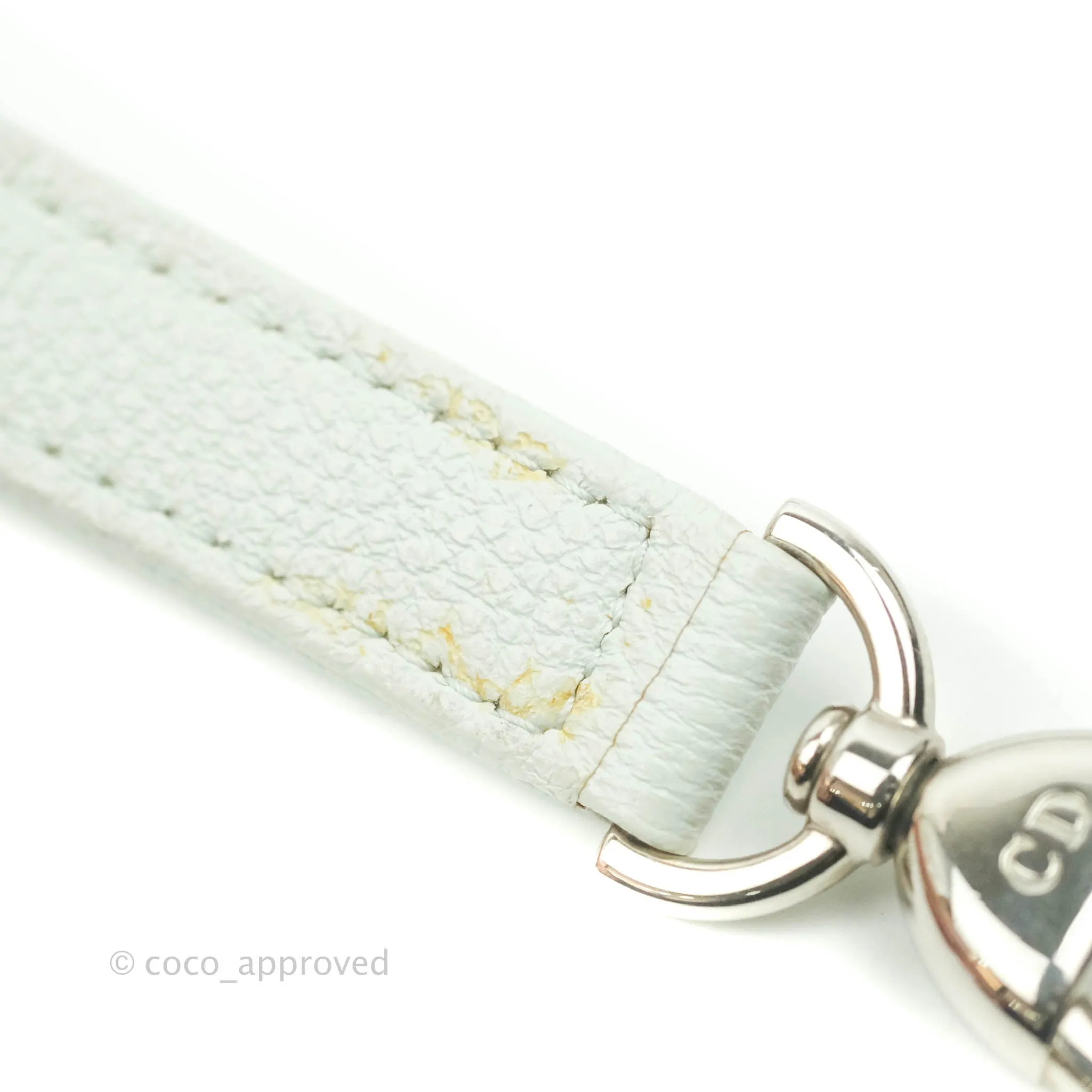 Christian Dior Medium Lady Dior Light Mint Grained Leather Silver Hardware