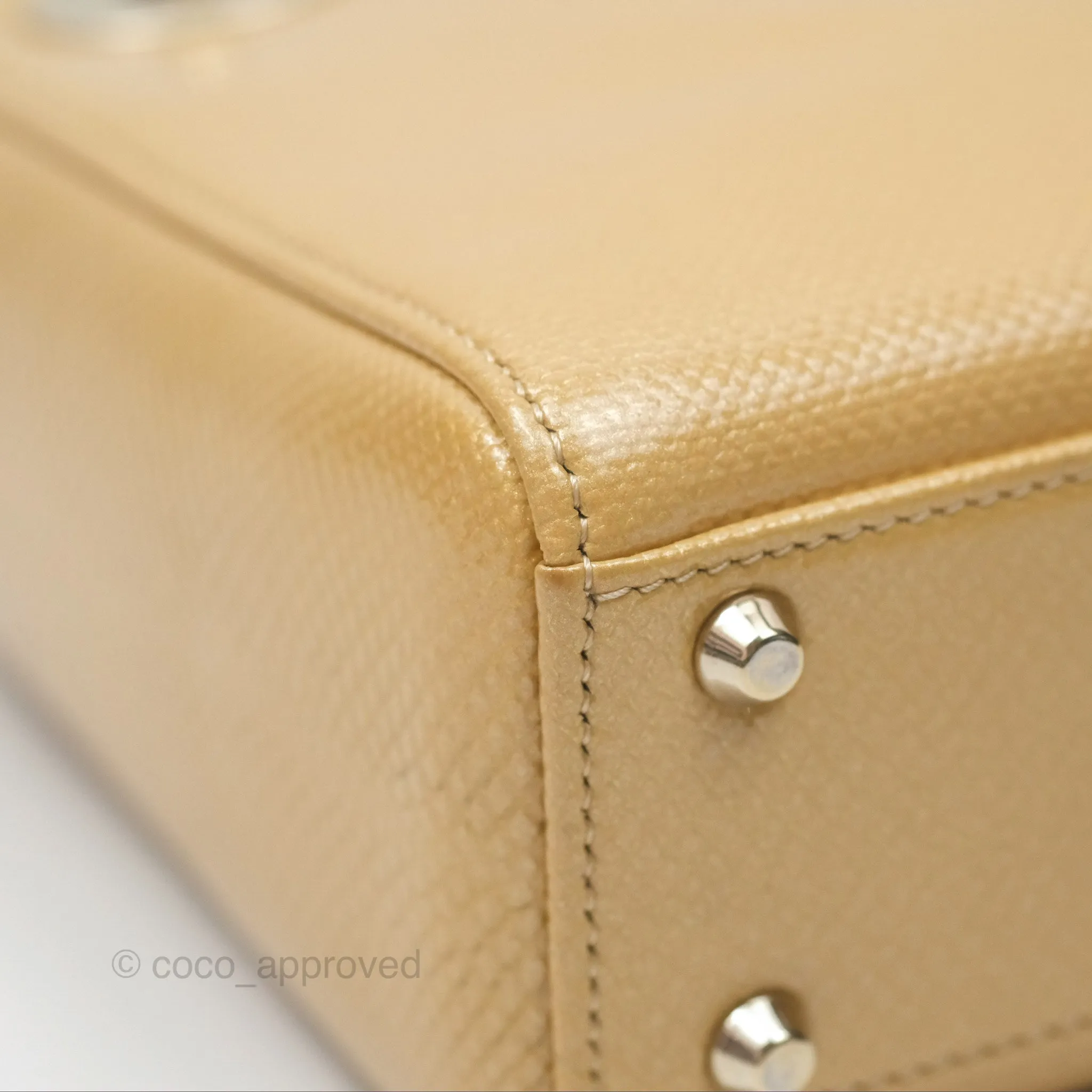 Christian Dior Mini Lady Dior Beige Lizard Gold Hardware