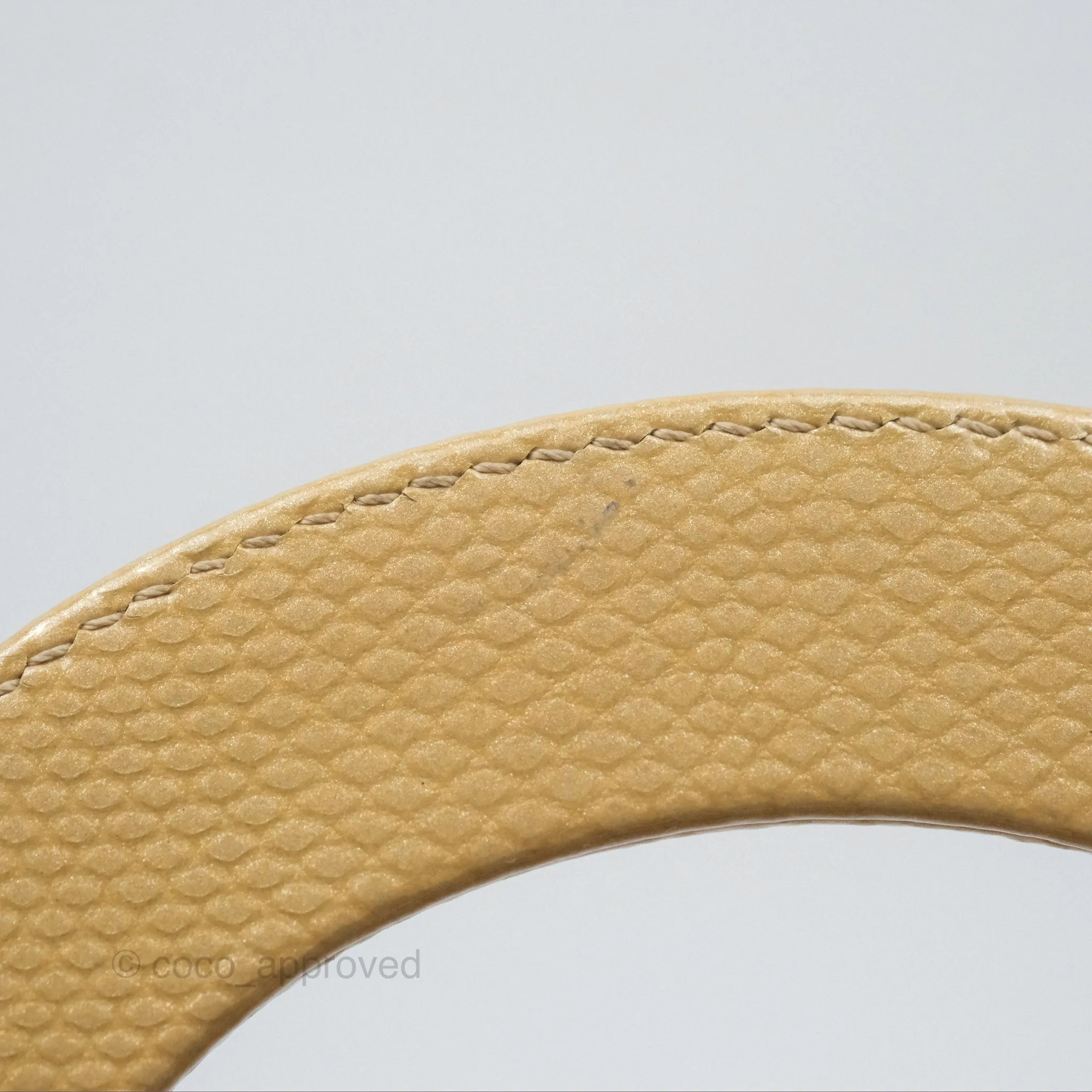 Christian Dior Mini Lady Dior Beige Lizard Gold Hardware