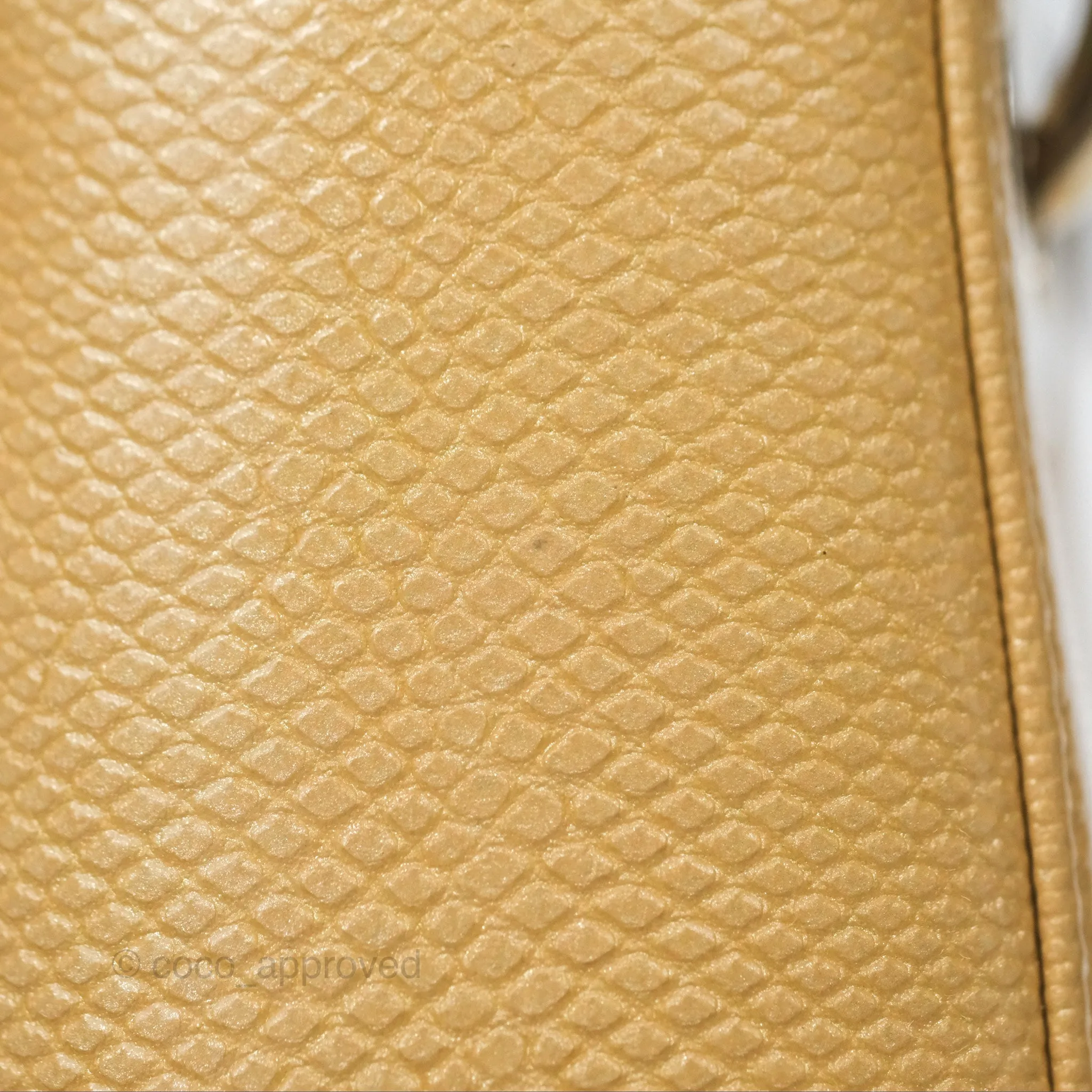 Christian Dior Mini Lady Dior Beige Lizard Gold Hardware