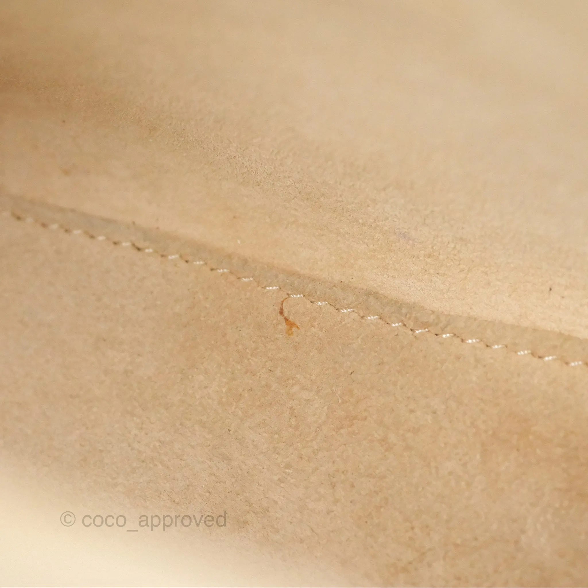 Christian Dior Mini Lady Dior Beige Lizard Gold Hardware