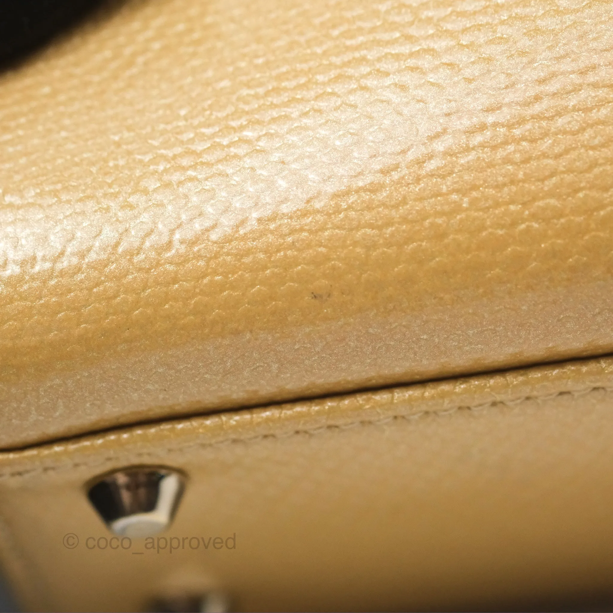 Christian Dior Mini Lady Dior Beige Lizard Gold Hardware