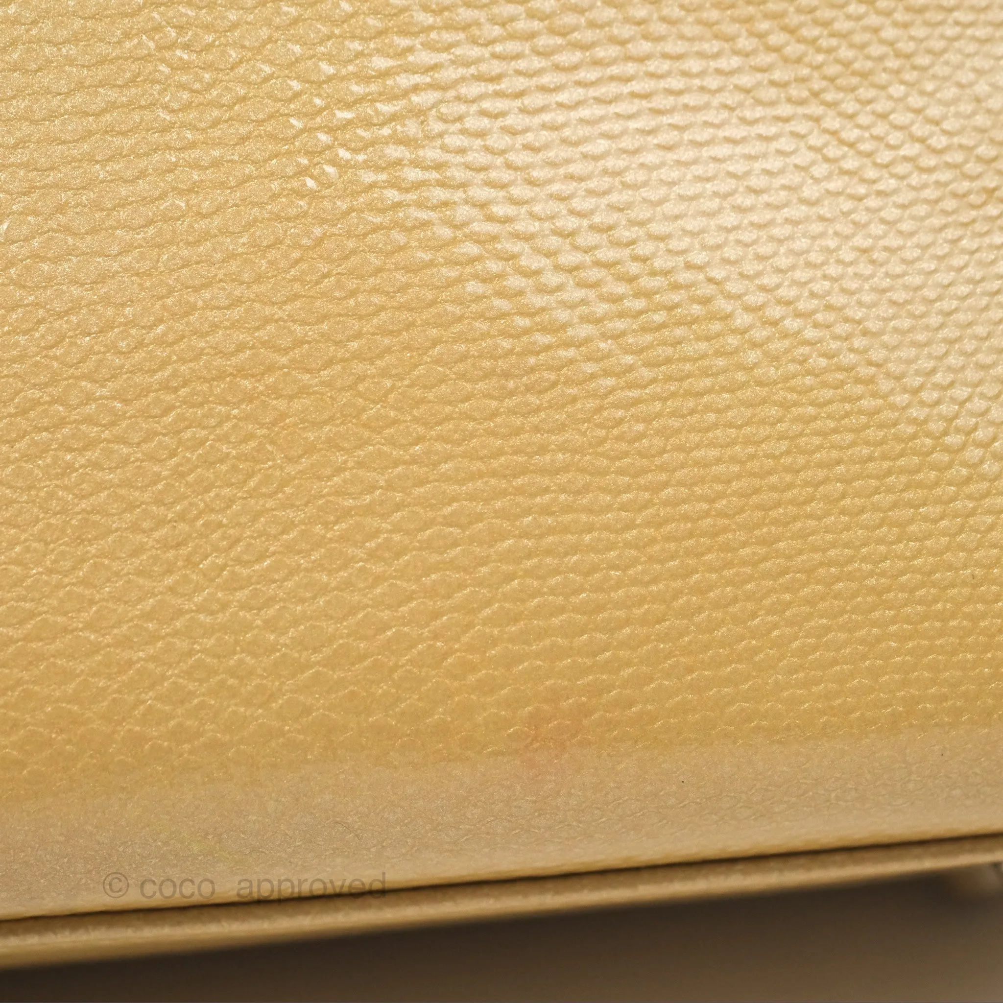 Christian Dior Mini Lady Dior Beige Lizard Gold Hardware