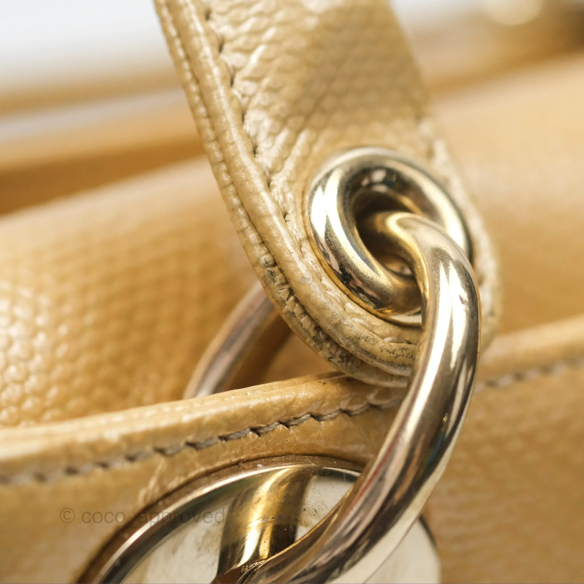 Christian Dior Mini Lady Dior Beige Lizard Gold Hardware