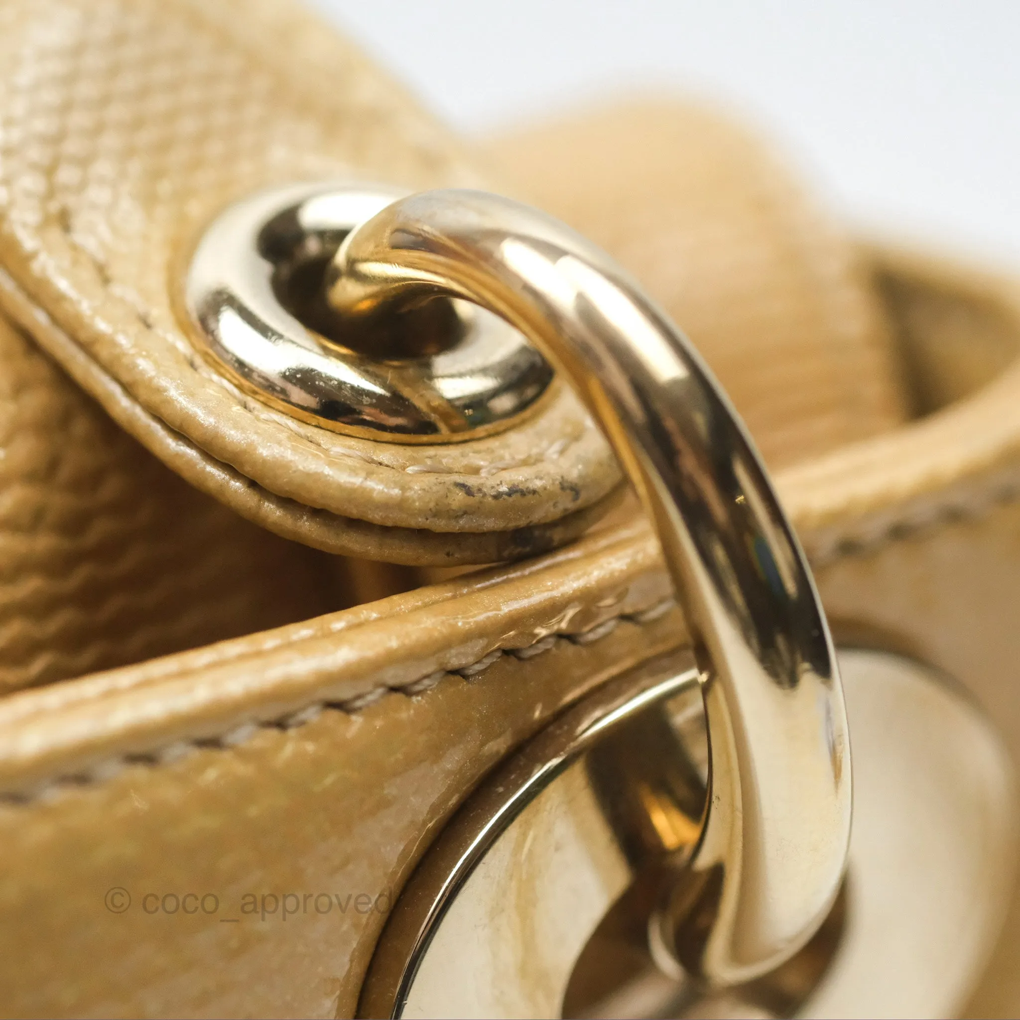 Christian Dior Mini Lady Dior Beige Lizard Gold Hardware
