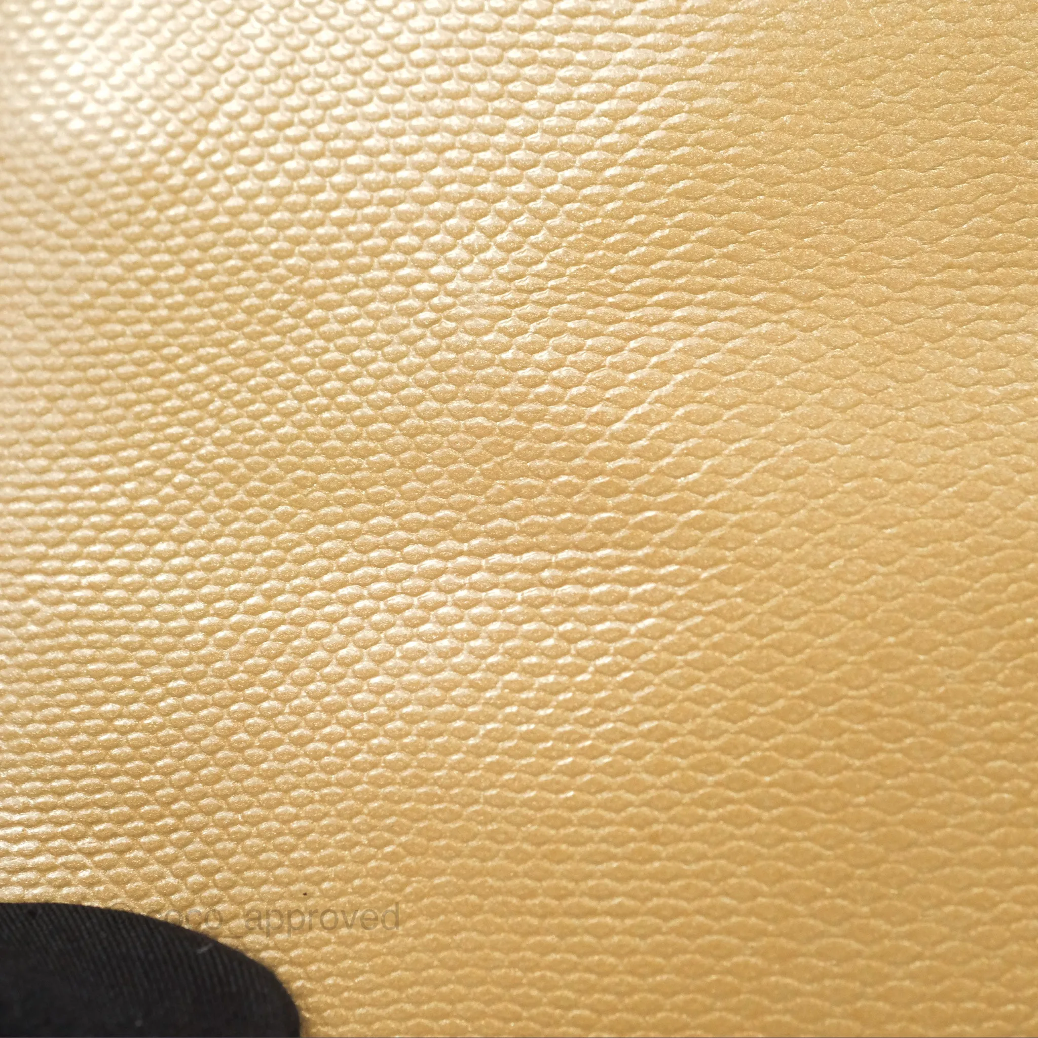 Christian Dior Mini Lady Dior Beige Lizard Gold Hardware
