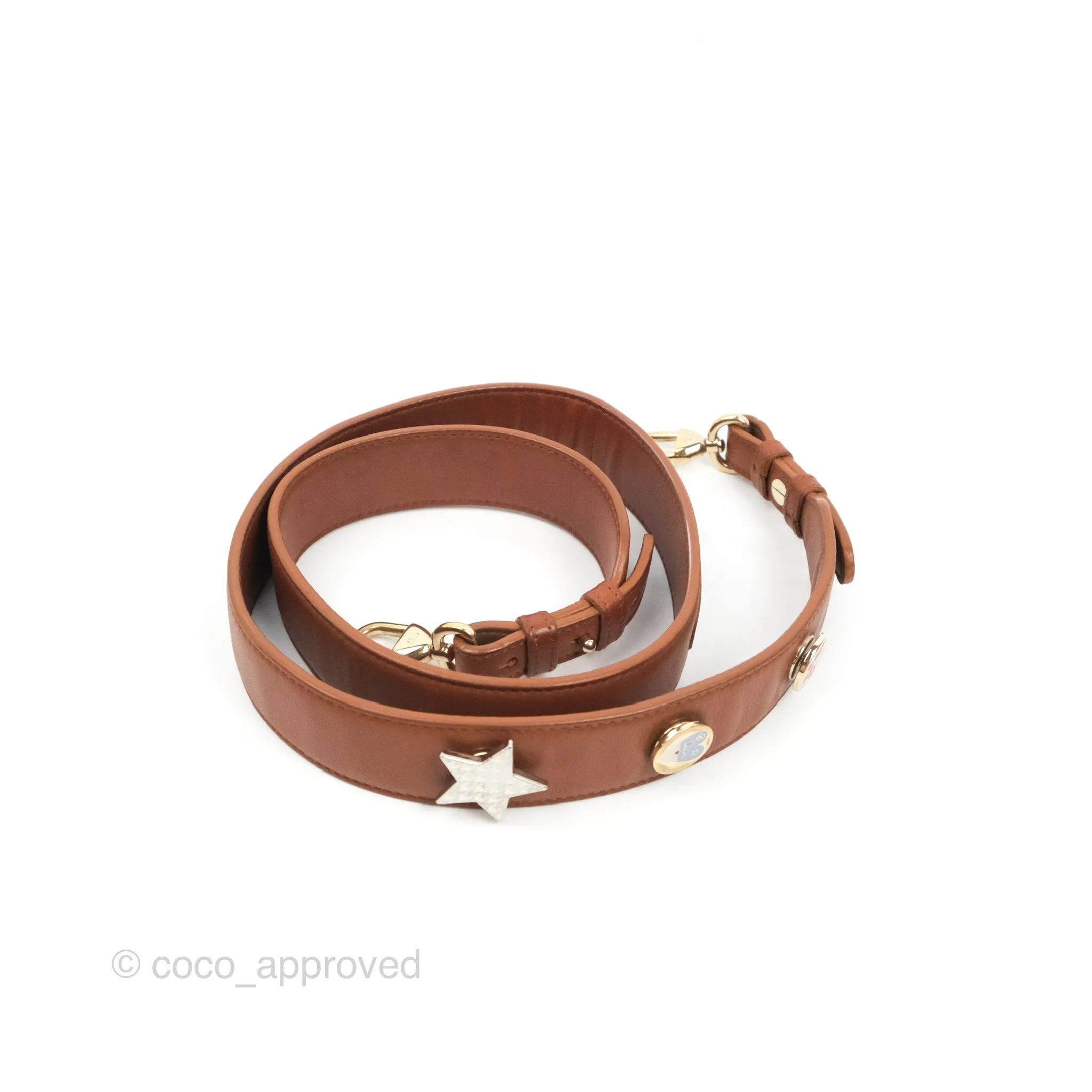 Christian Dior My ABCDior Lady Dior Brown Lambskin Gold Hardware